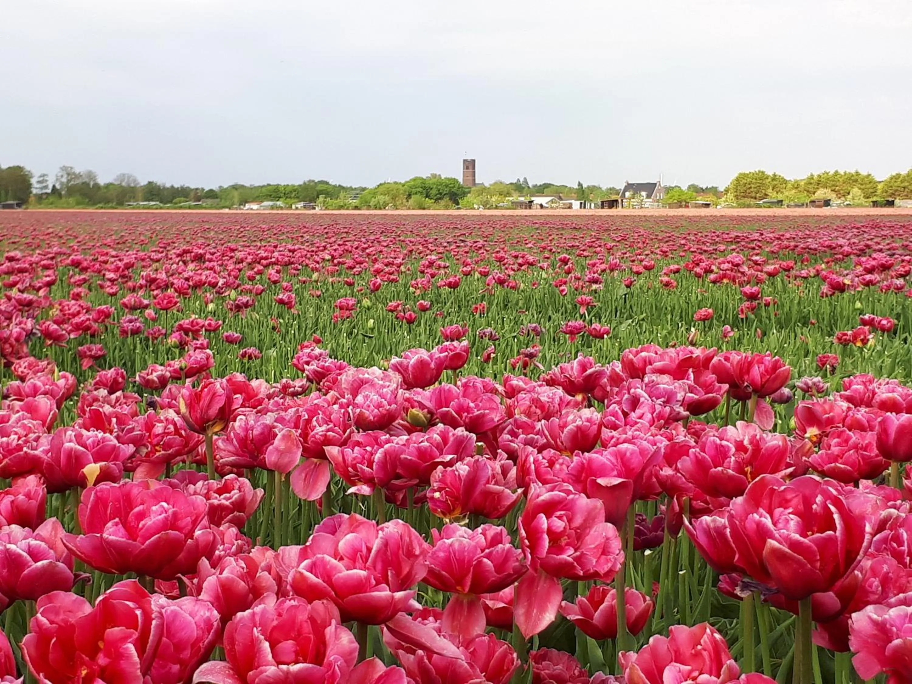 Natural landscape in Bed en Breakfast en Bike
