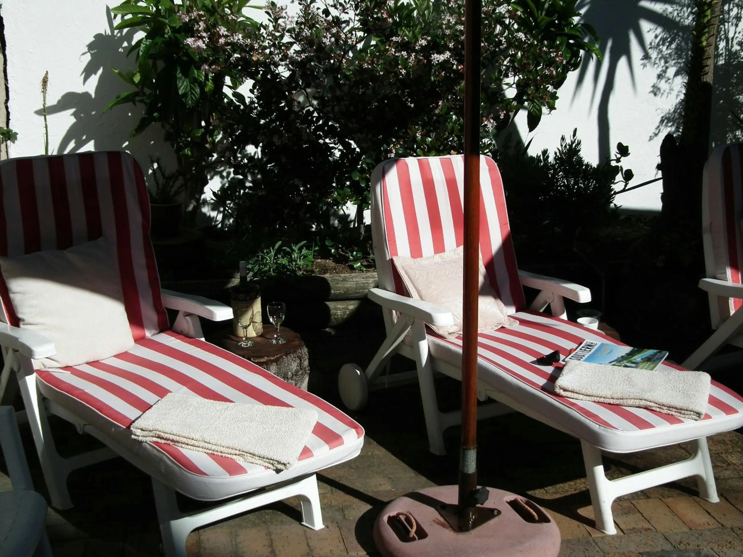 Garden in Clarence House