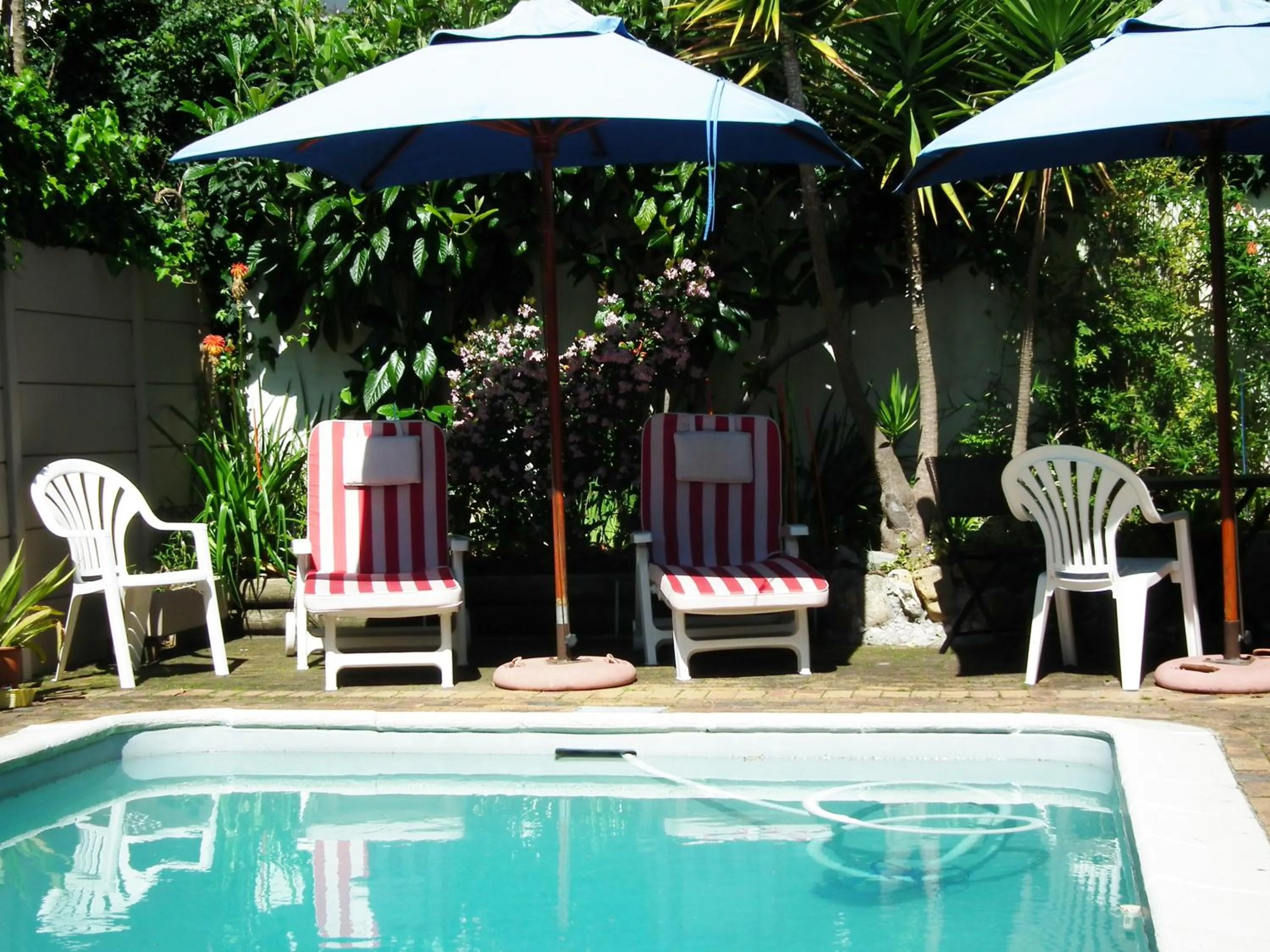 Swimming pool in Clarence House