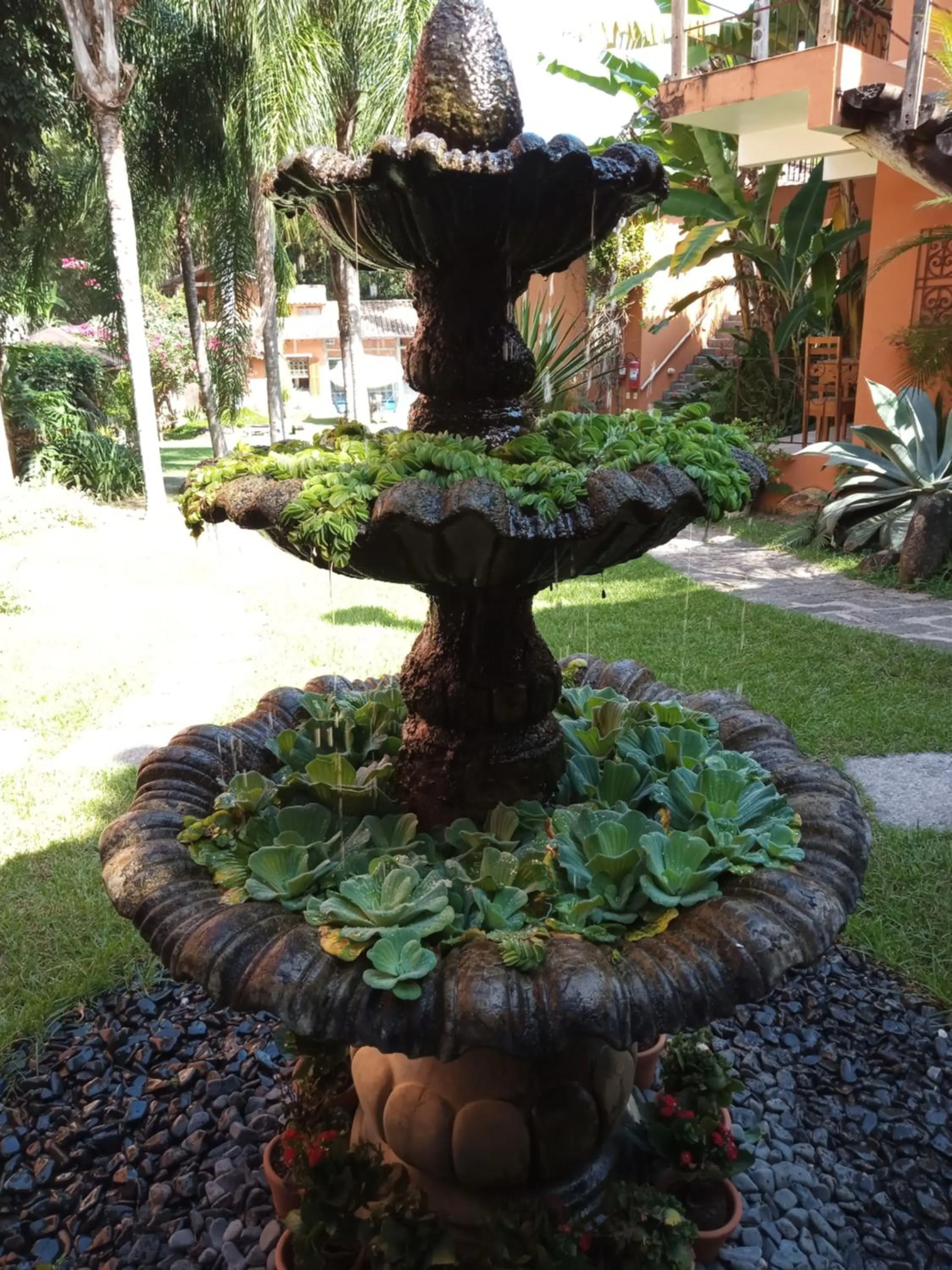 Garden in Pousada Terra Madre