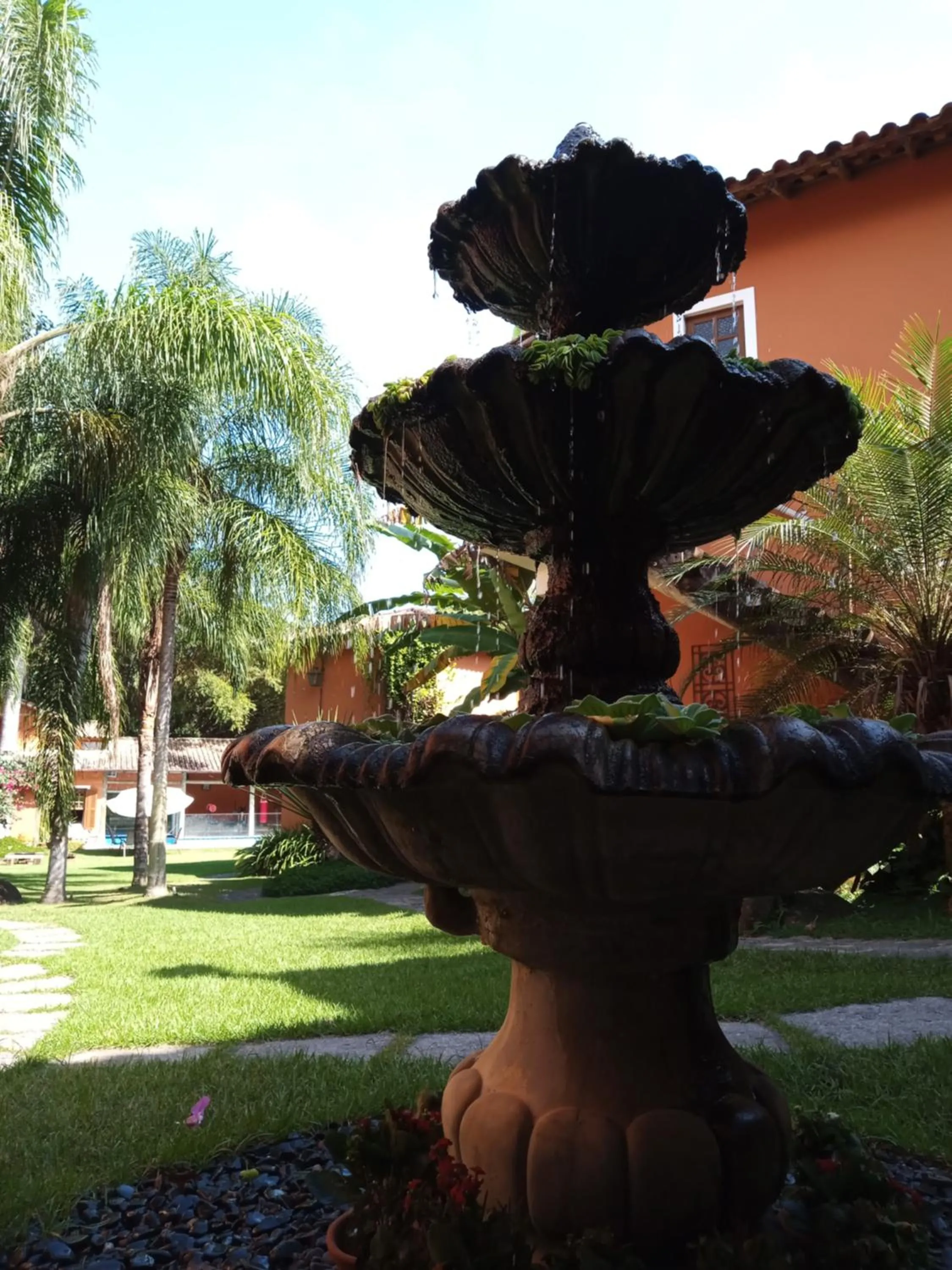 Garden in Pousada Terra Madre