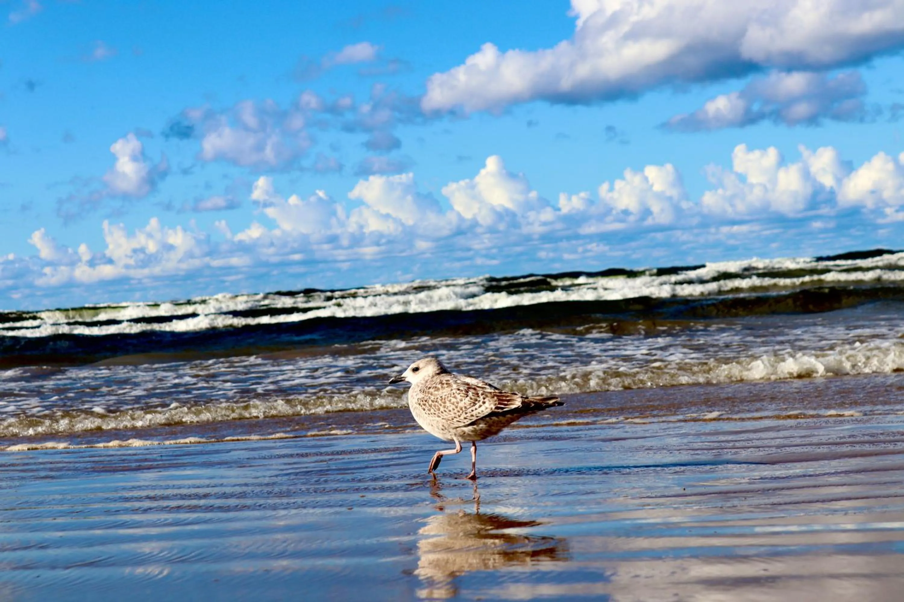 Summer in Pegasa Pils Spa Hotel