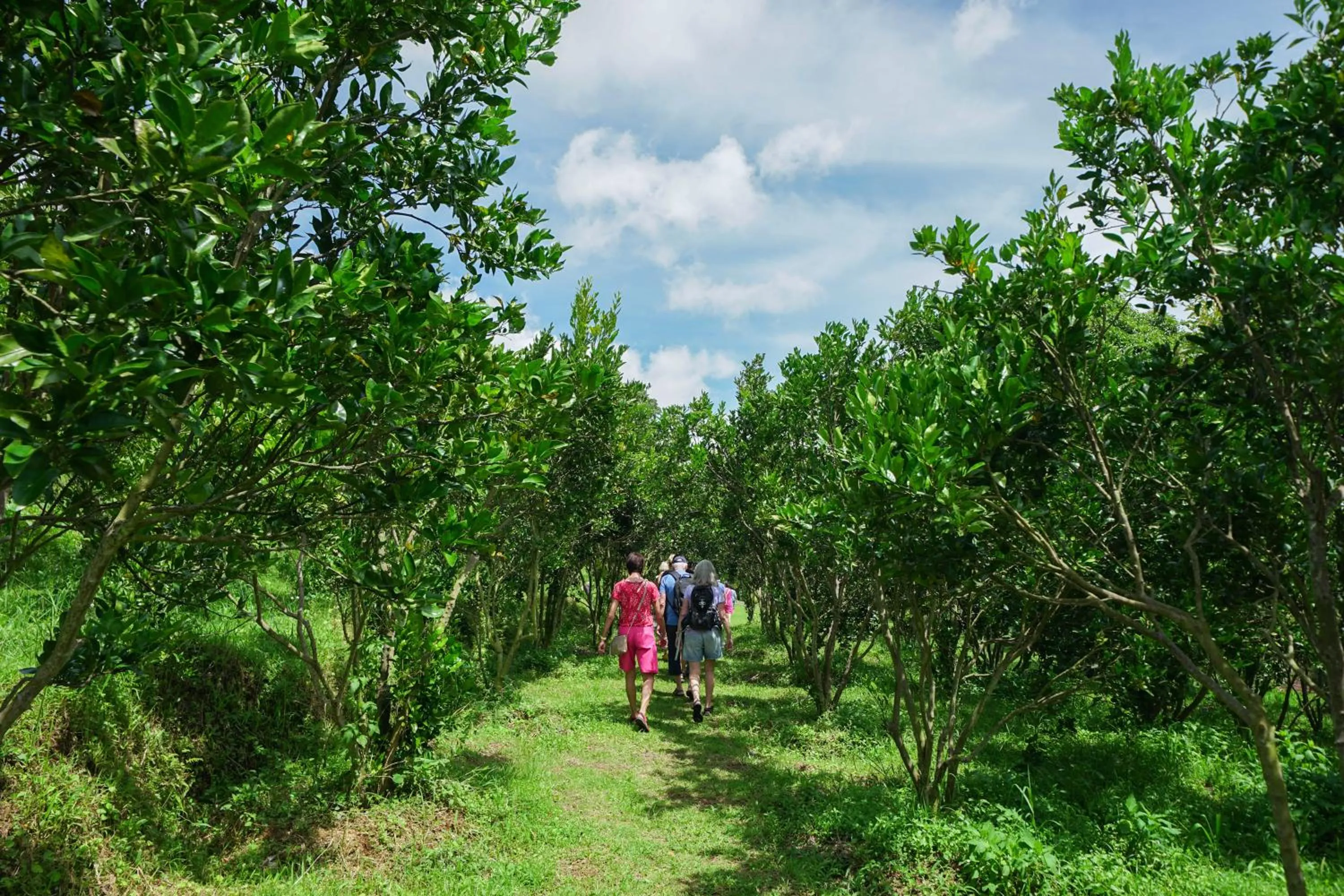 People in Bagus Agro Pelaga