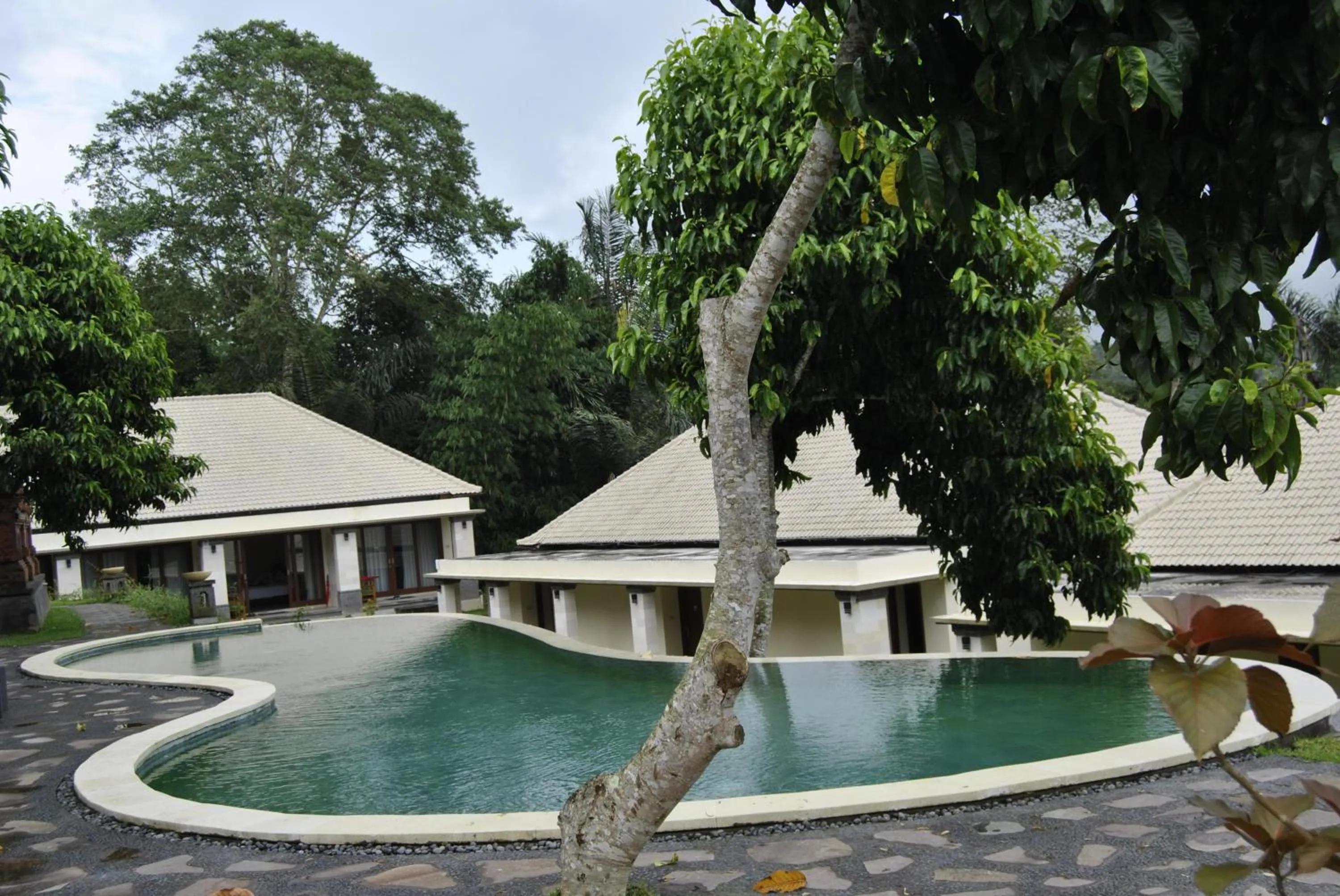 Swimming pool in Bagus Agro Pelaga