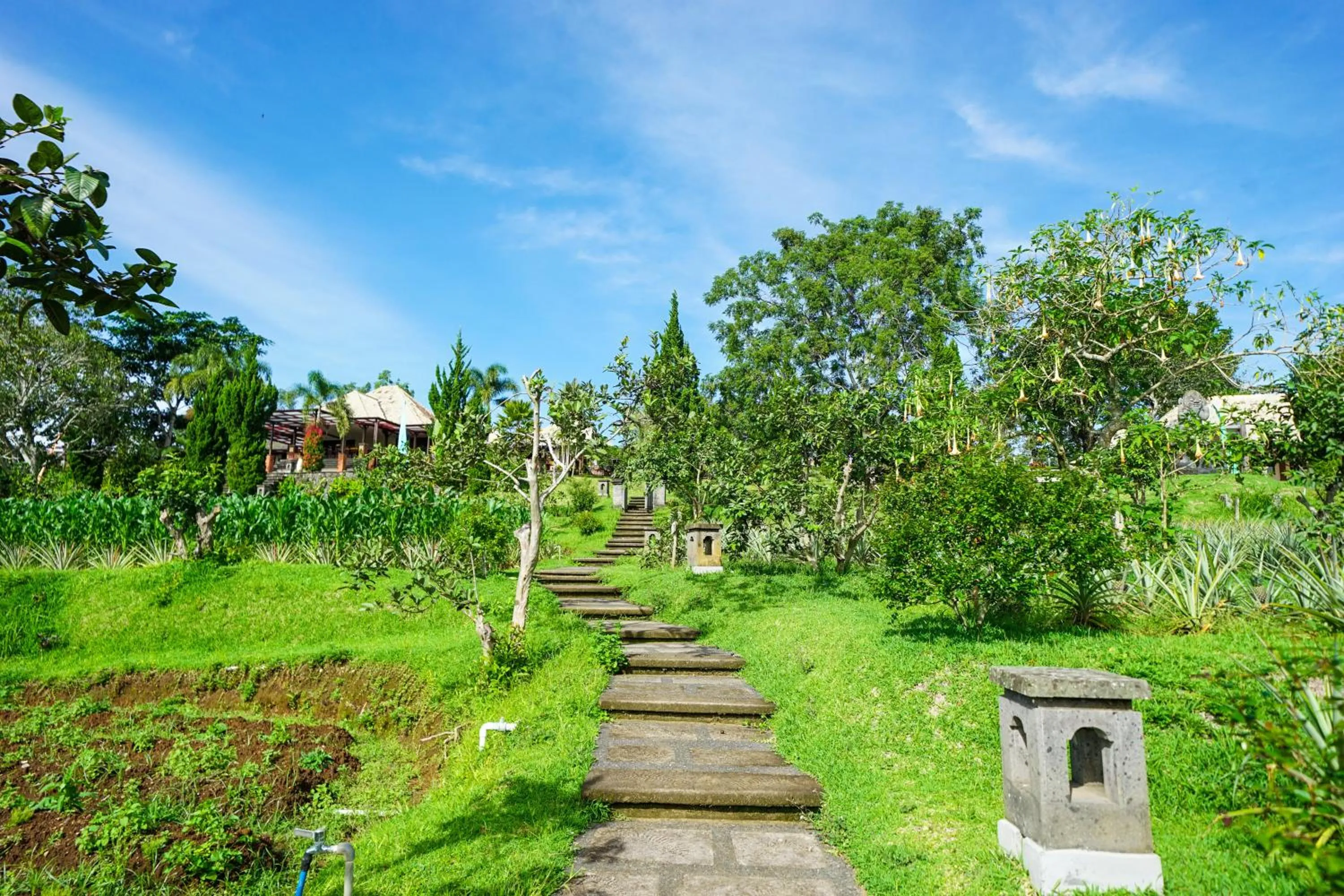 Garden in Bagus Agro Pelaga