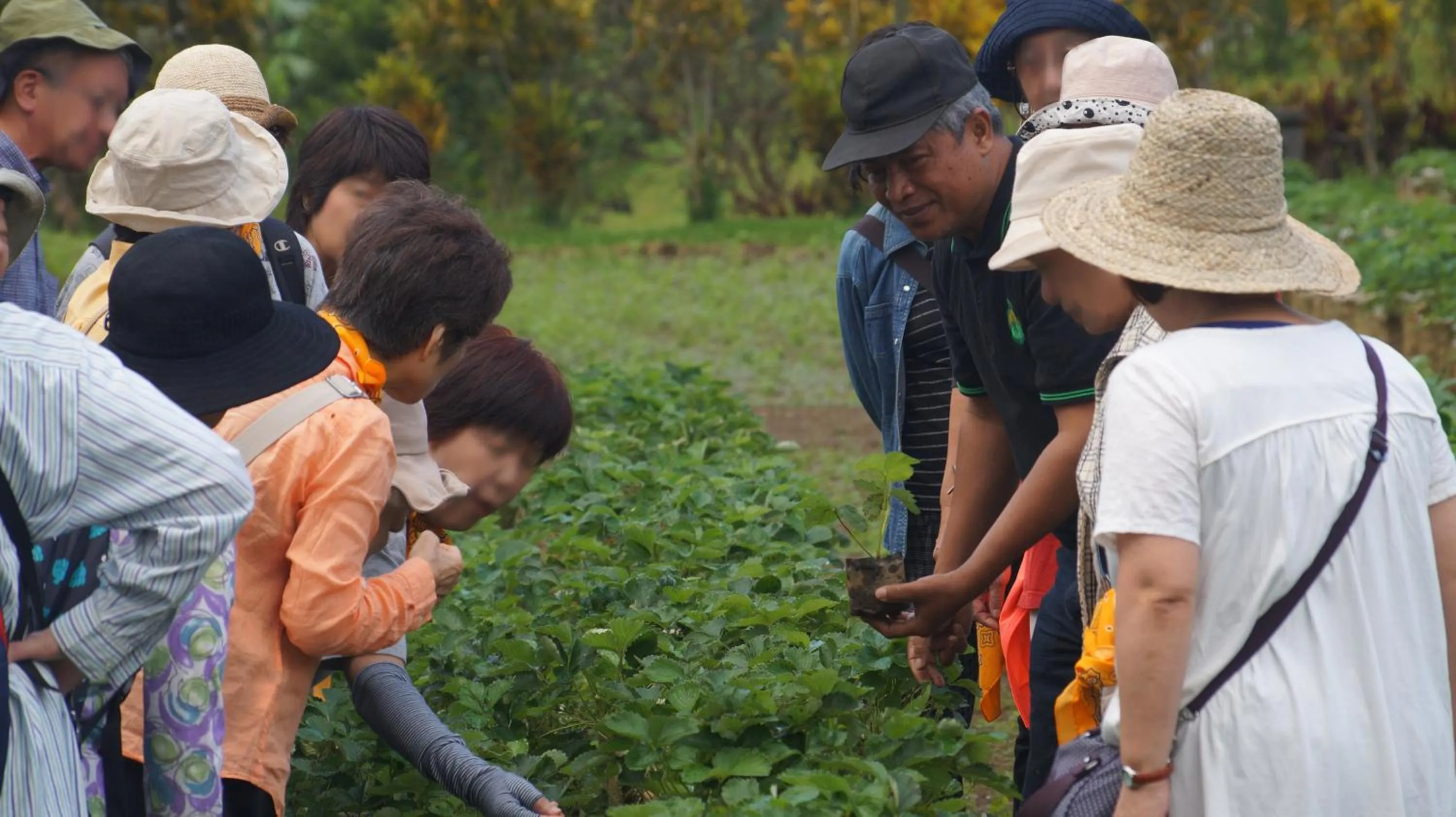 Entertainment in Bagus Agro Pelaga