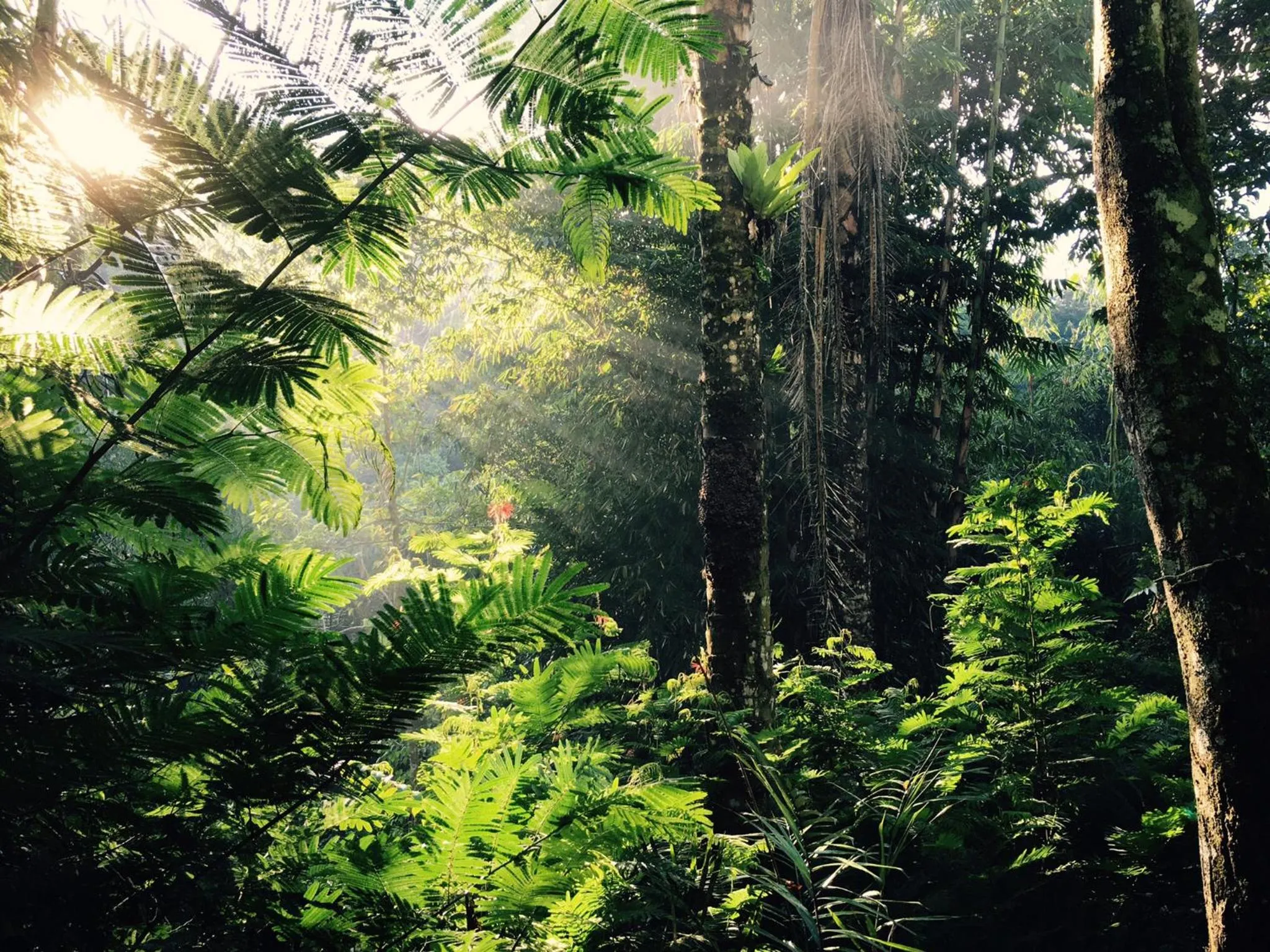 Natural landscape in Bagus Agro Pelaga