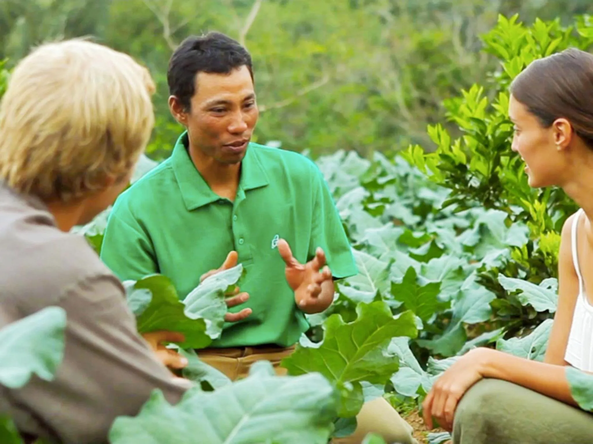 Natural landscape in Bagus Agro Pelaga