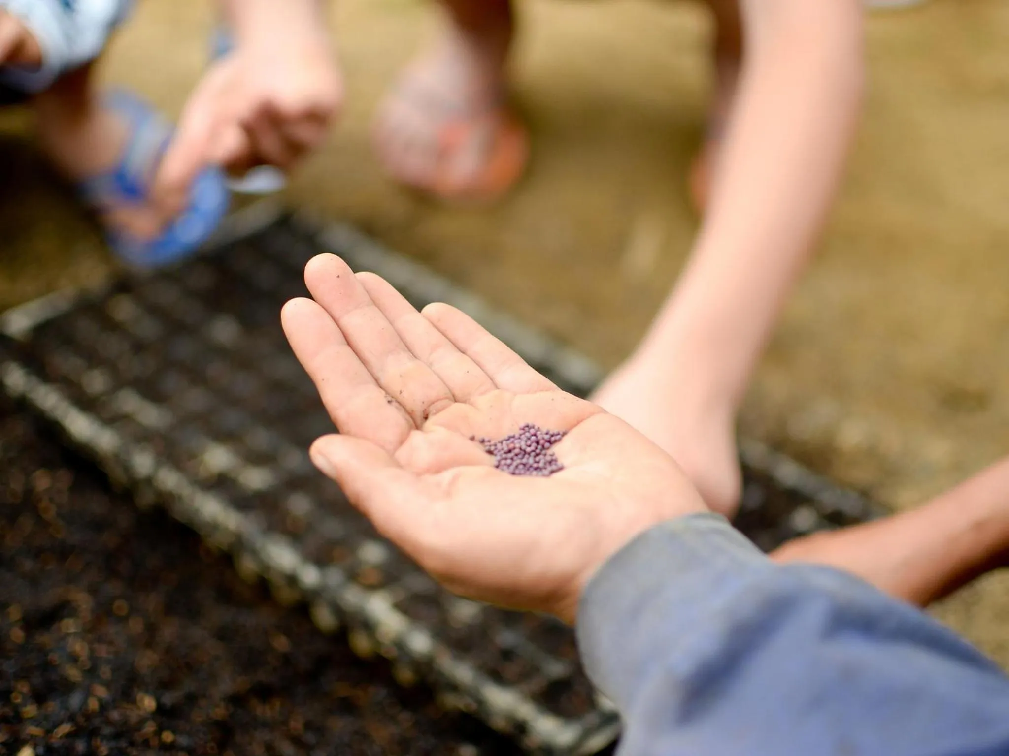 Natural landscape in Bagus Agro Pelaga