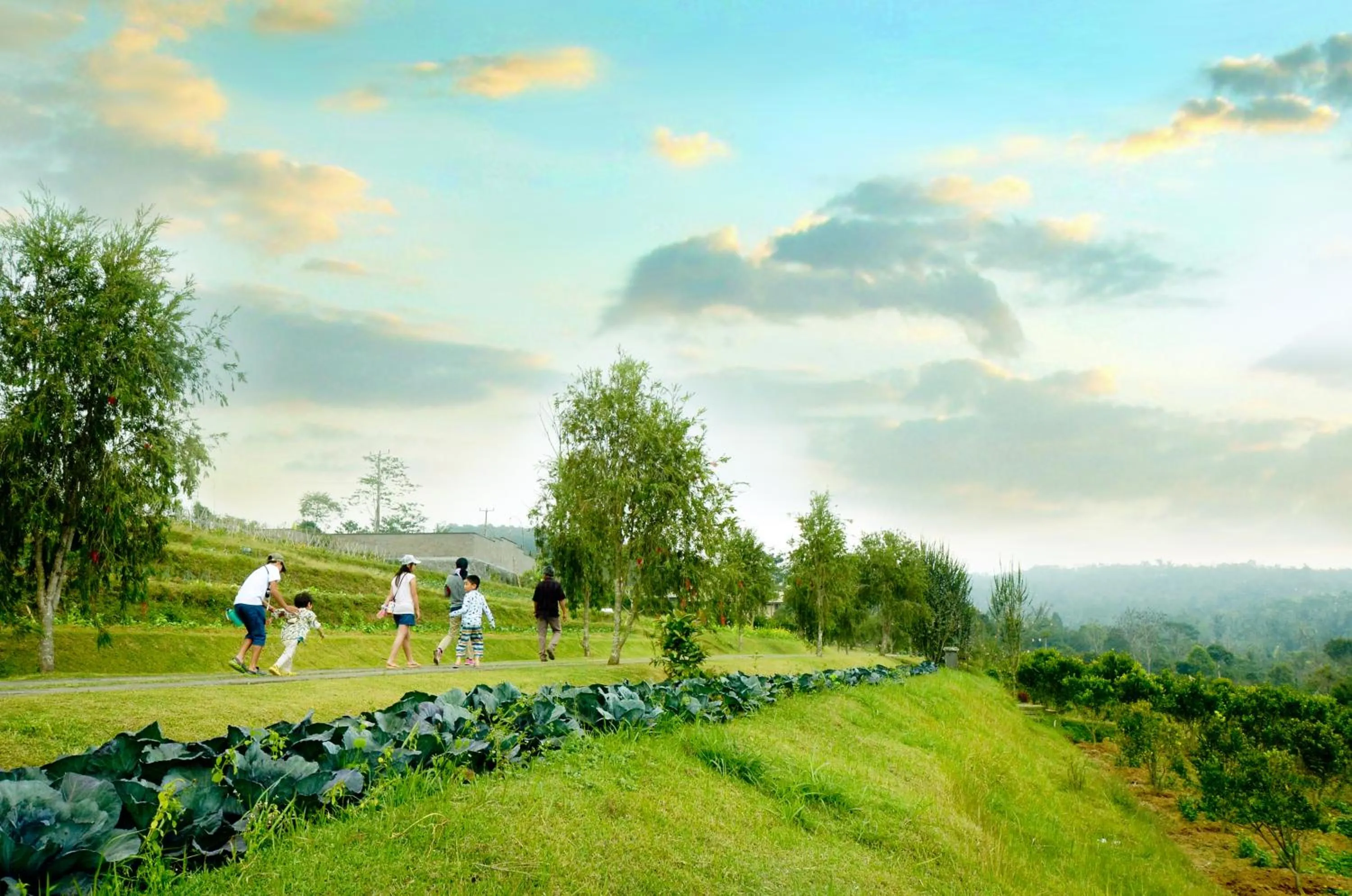 Natural landscape in Bagus Agro Pelaga