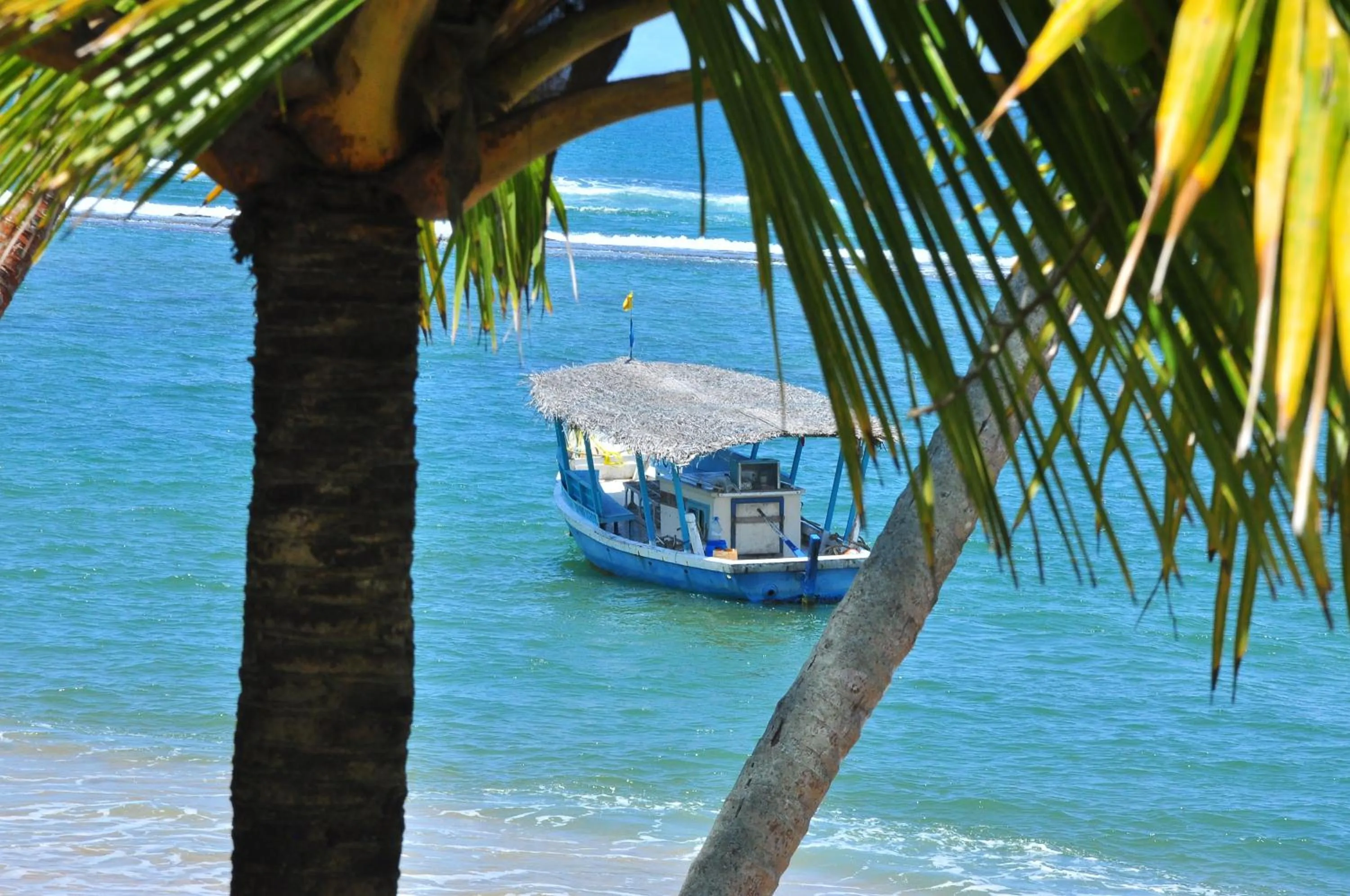 Diving in Ypsylon Tourist Resort