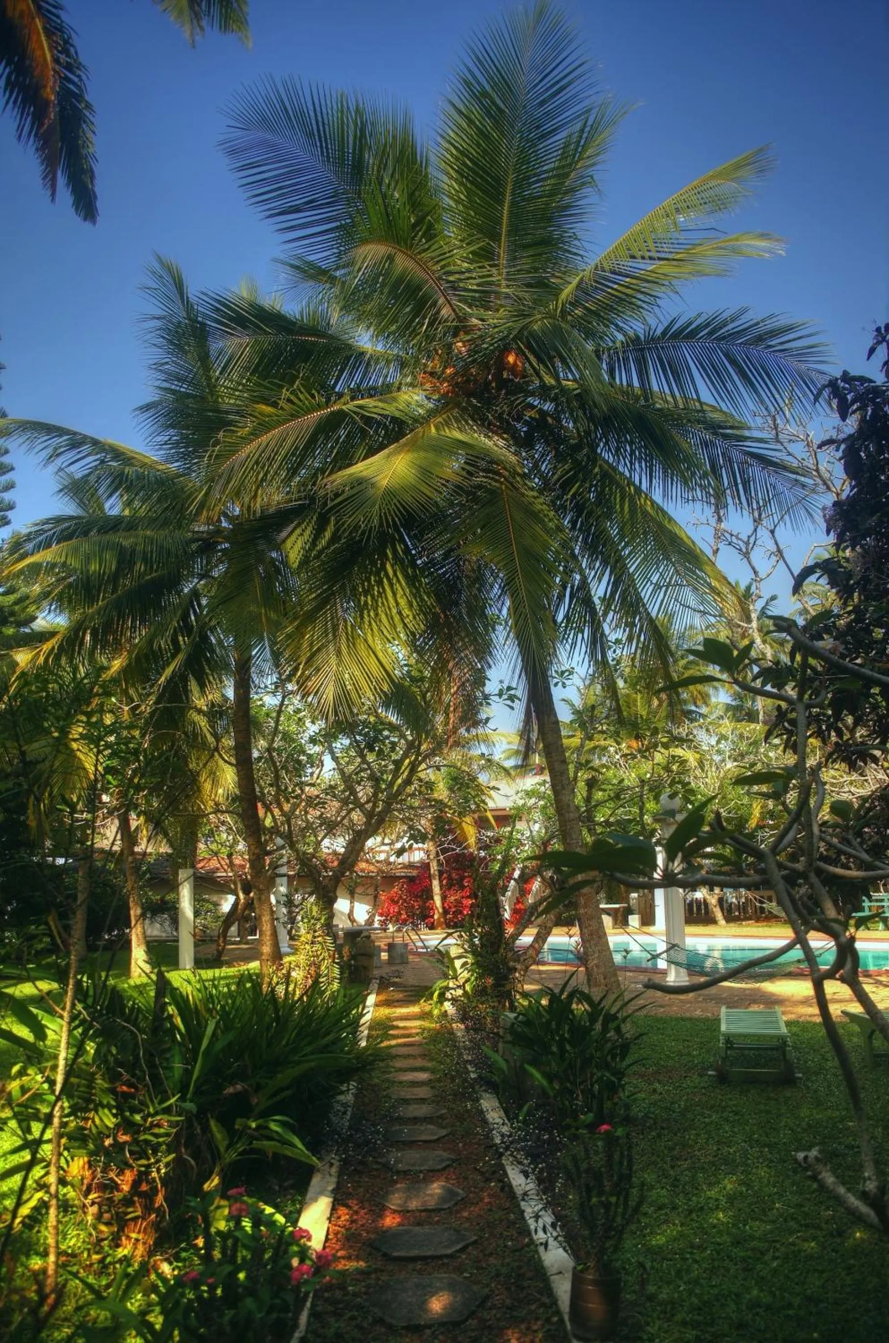 Garden in Ypsylon Tourist Resort