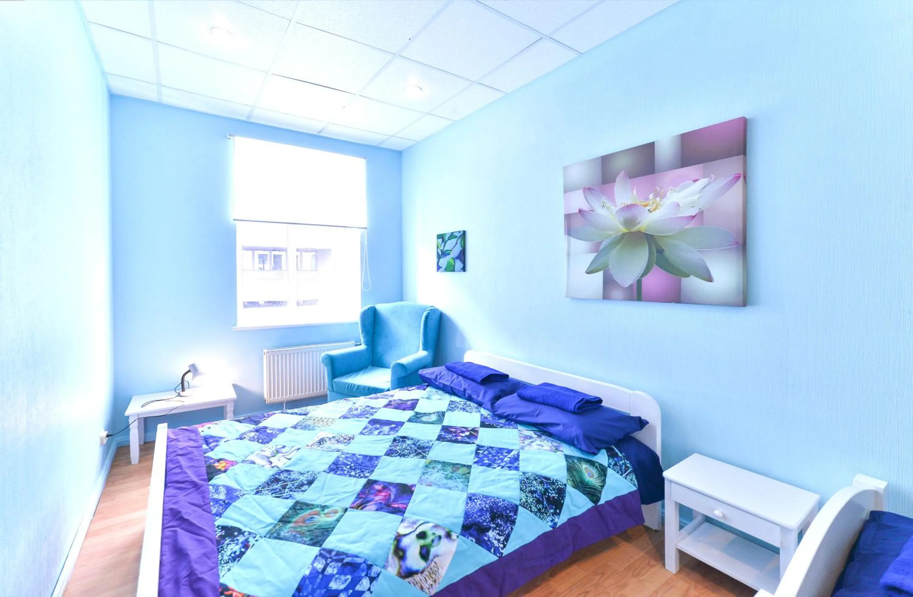 Photo of the whole room, Bed in Central Hostel