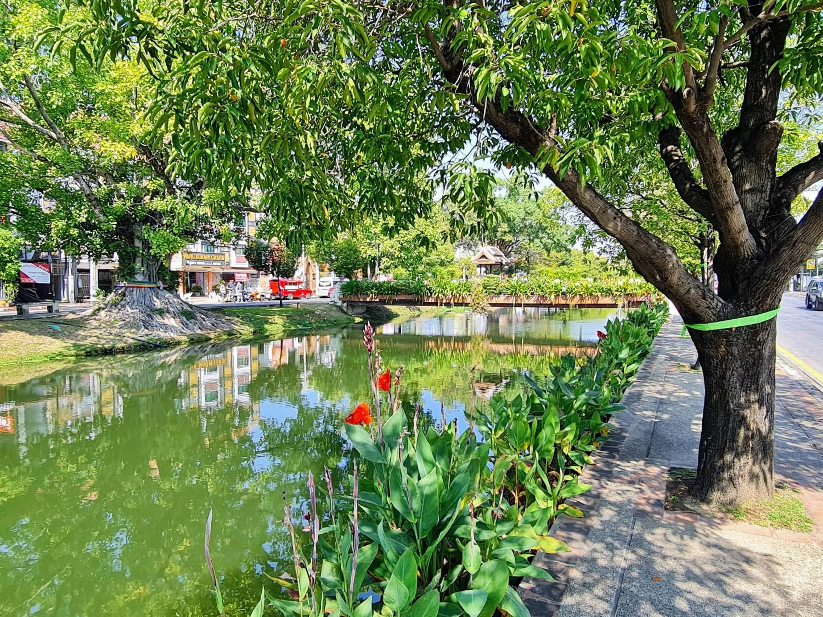 Neighbourhood in Bed and Terrace Guesthouse Chiang Mai