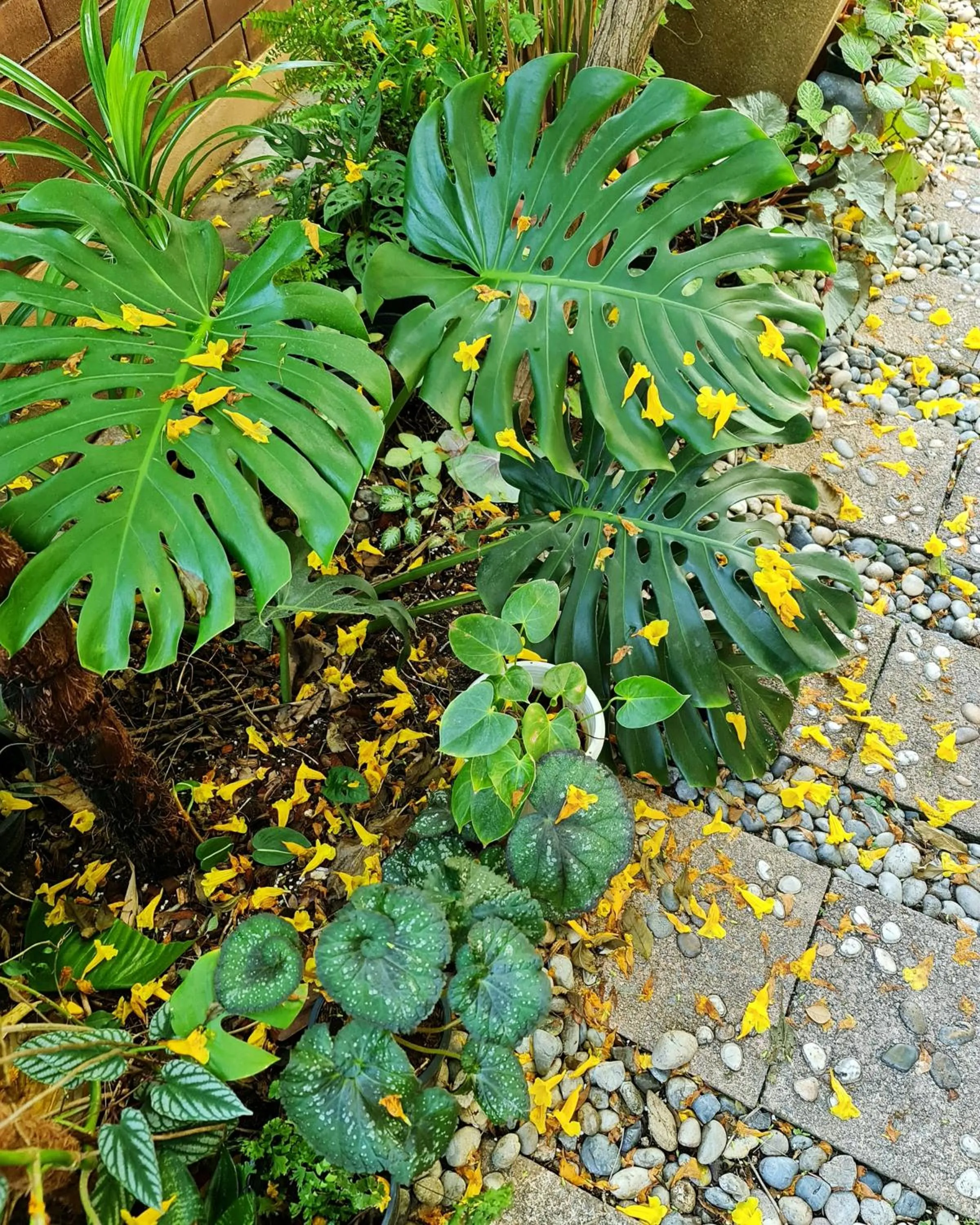 Patio in Bed and Terrace Guesthouse Chiang Mai
