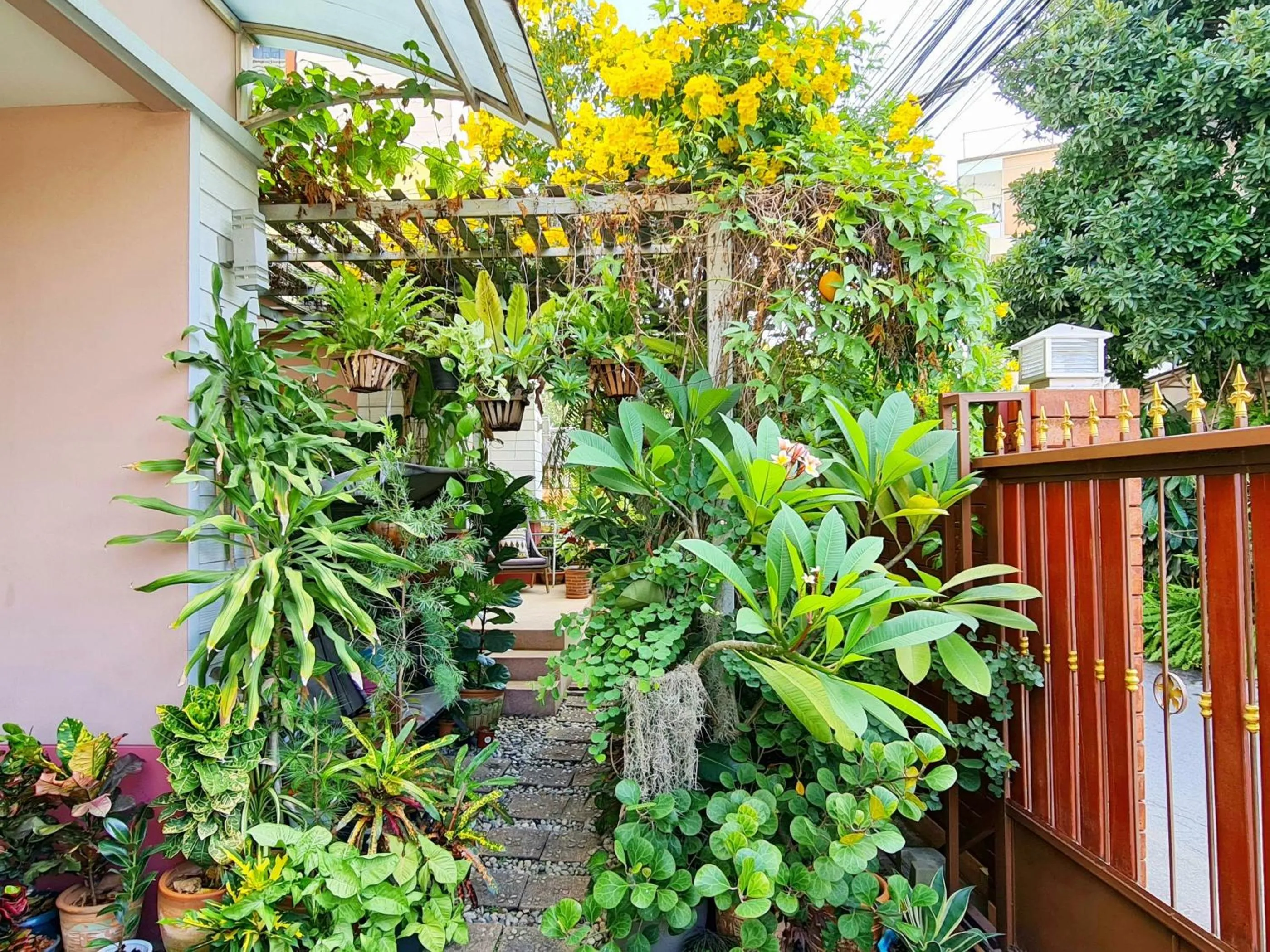 Garden in Bed and Terrace Guesthouse Chiang Mai