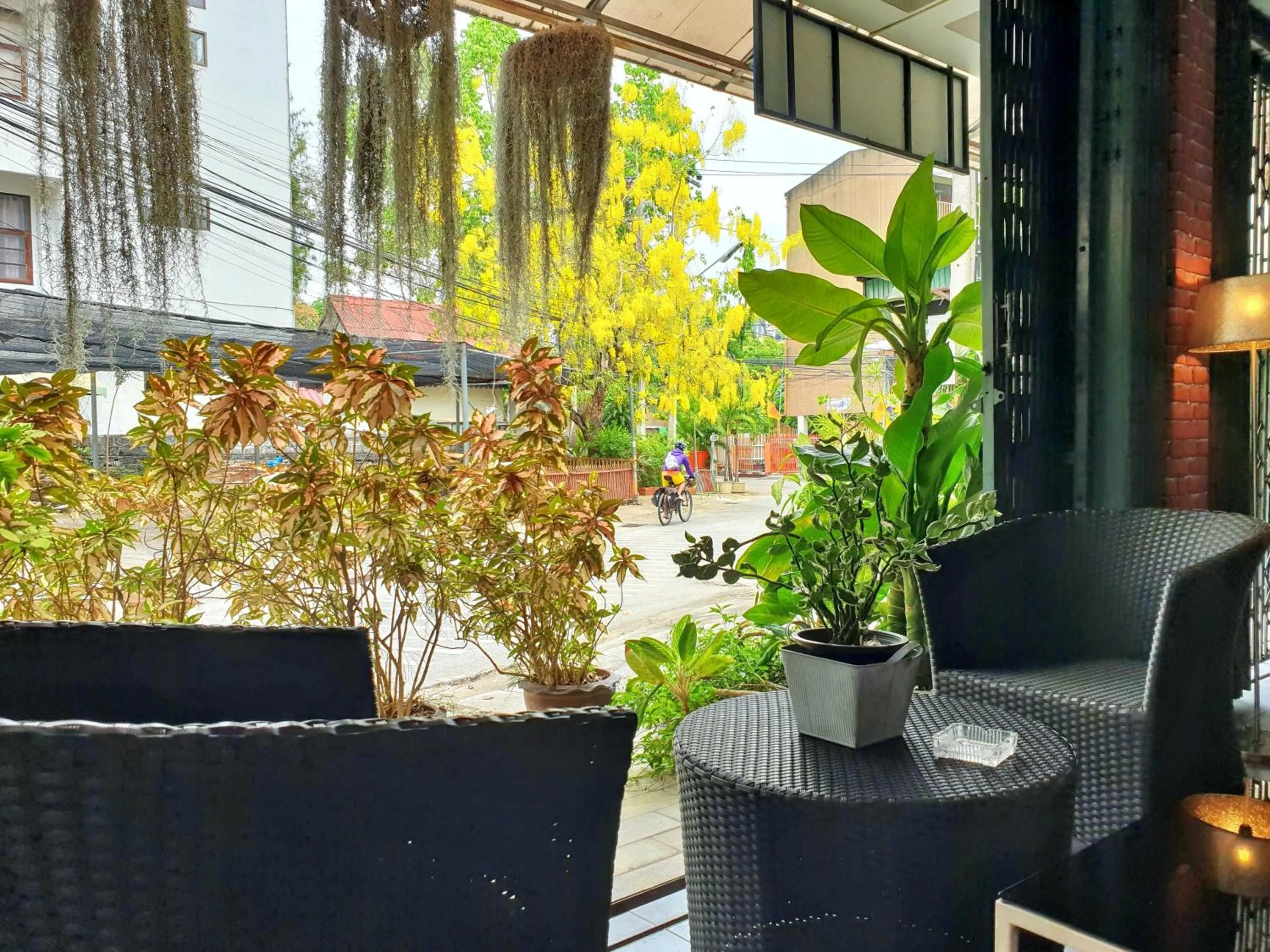 Garden in Bed and Terrace Guesthouse Chiang Mai