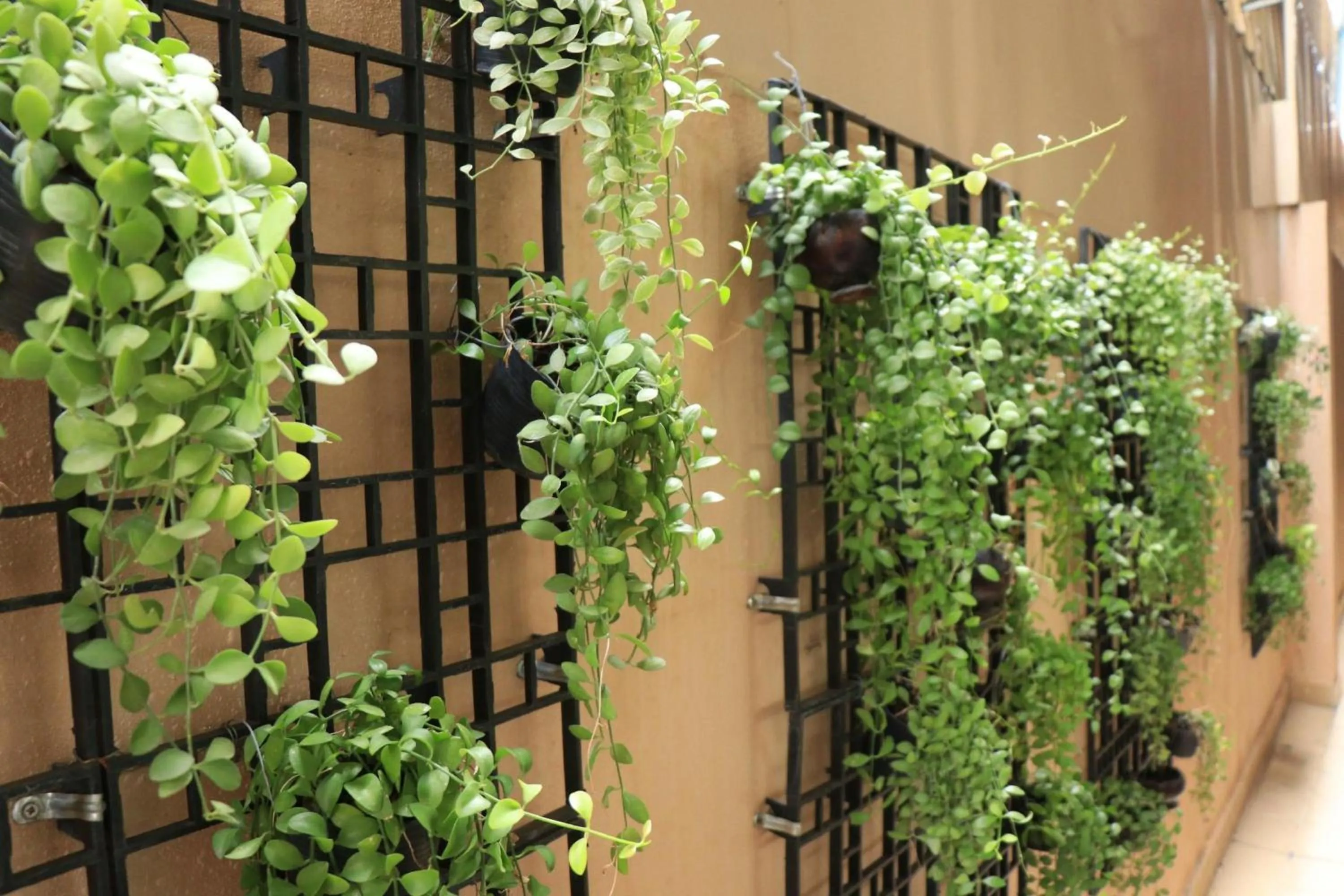 Decorative detail in Salita Hotel Phnom Penh