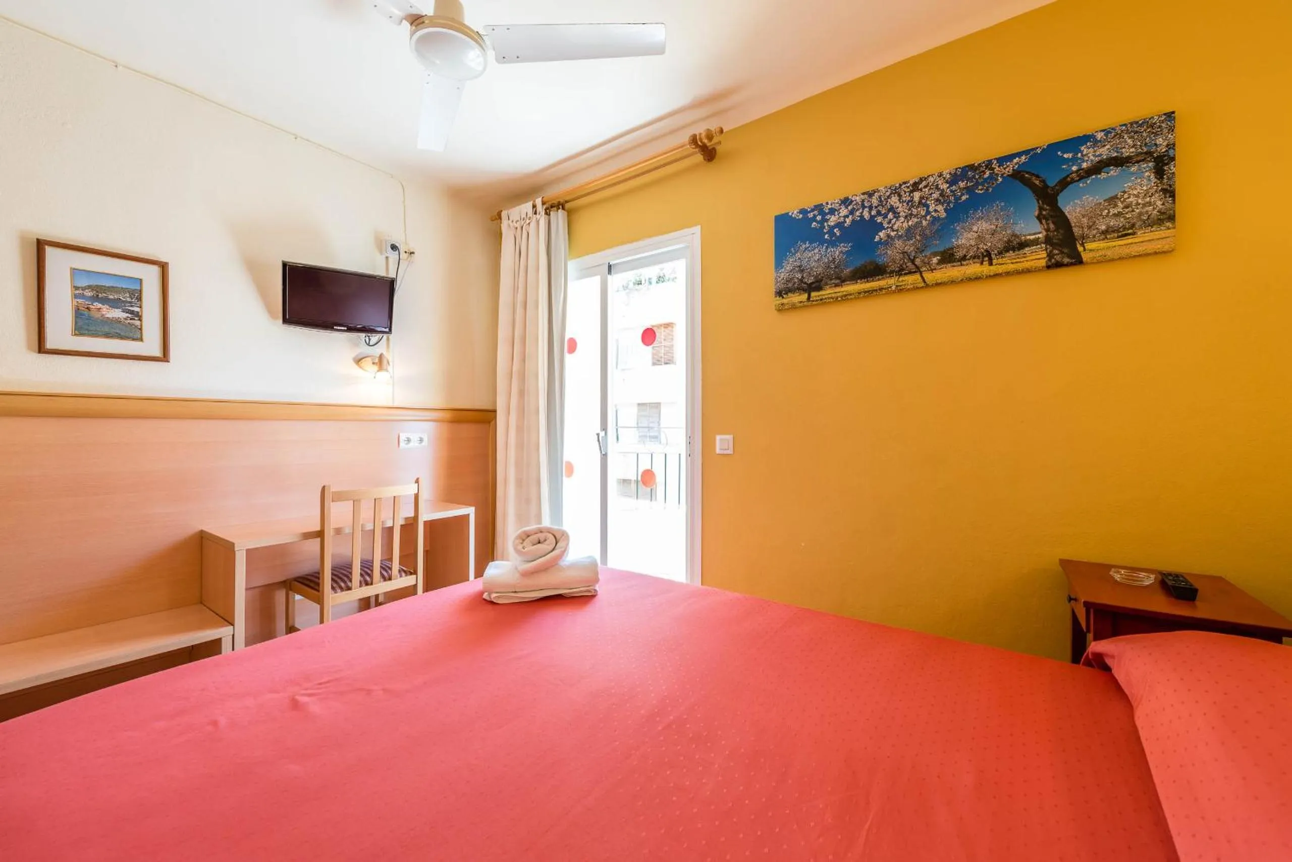 Day in Hostal Residencia Europa Punico