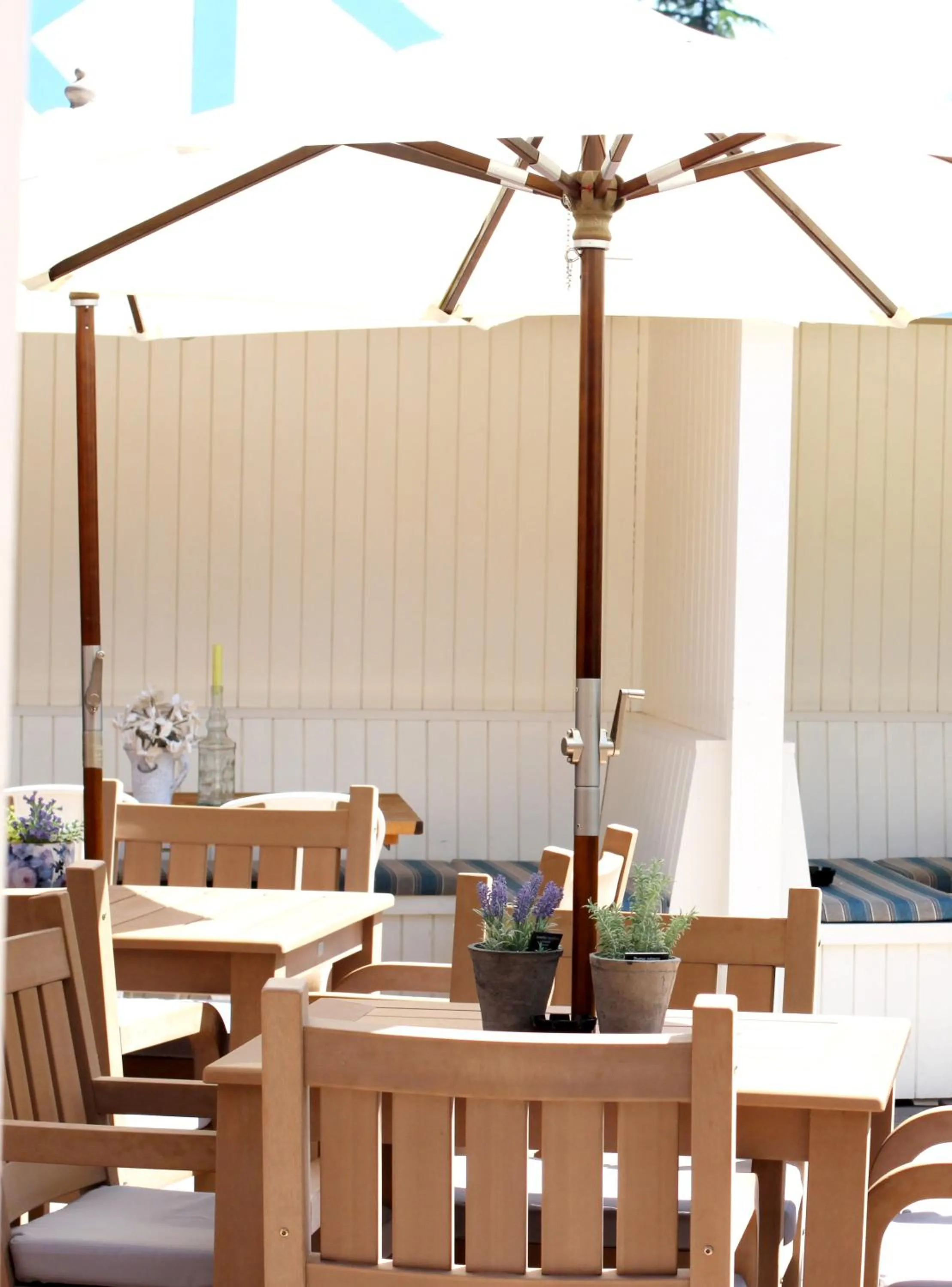 Garden in The Station