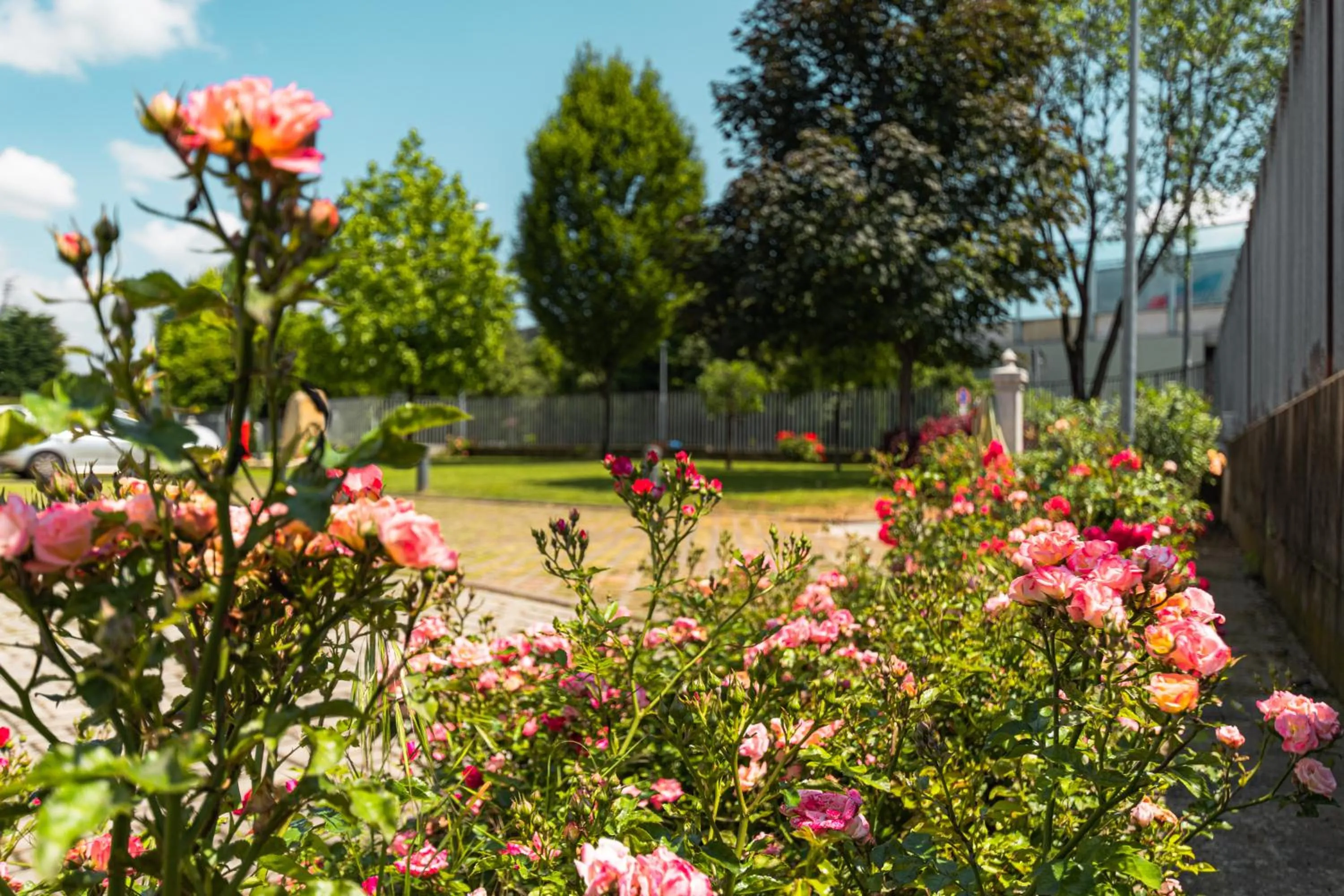Garden in One Hotel & Restaurant