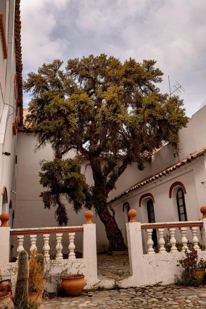 Property building in Hostal Colonial Potosi