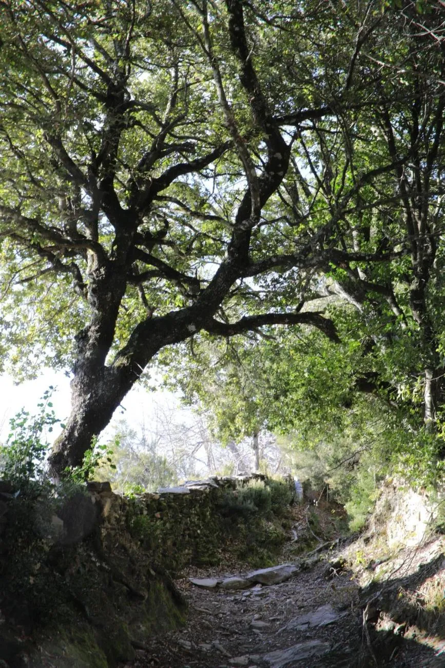 Natural landscape in Casa Di Lucia Mi-Hotel