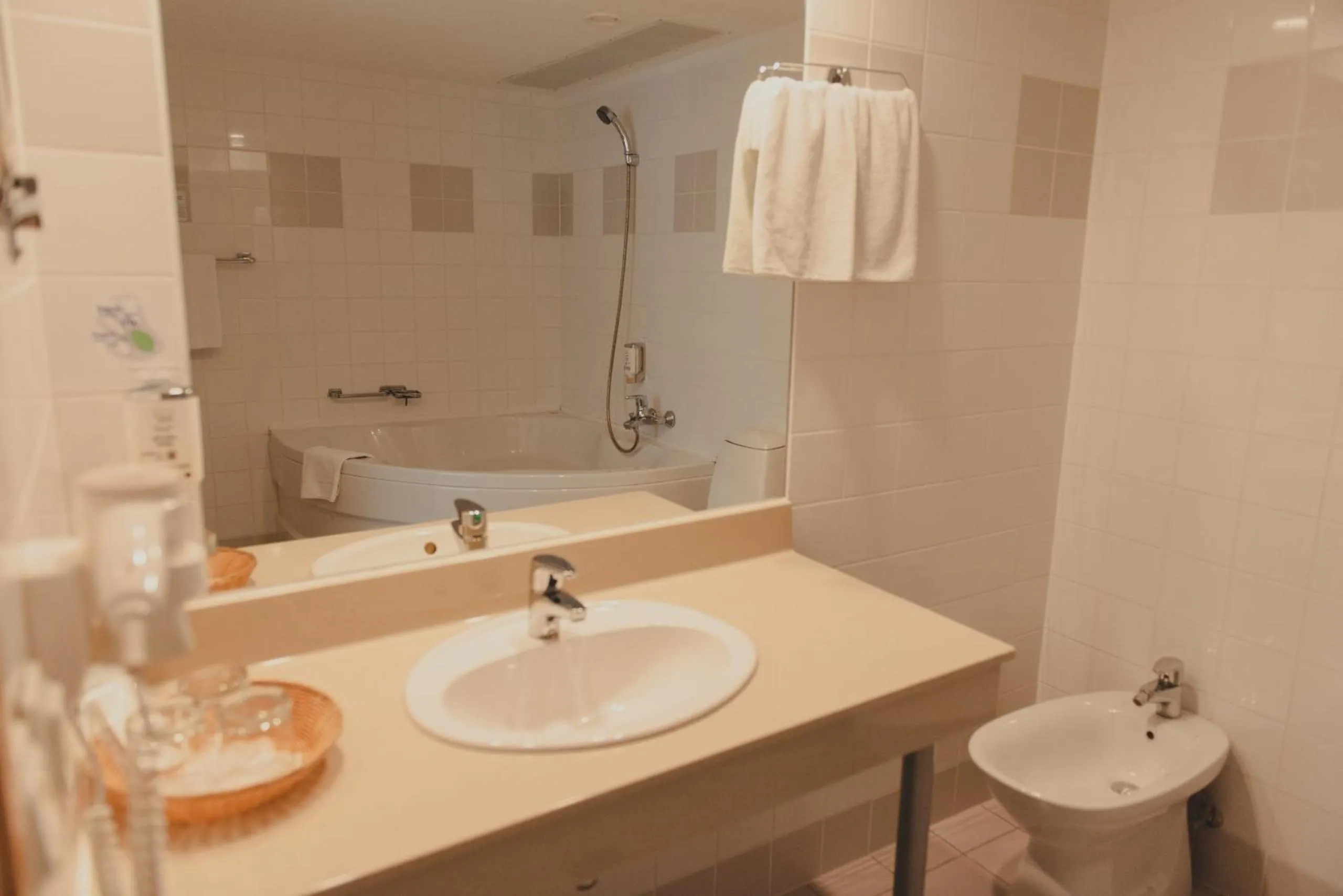 Shower in Park Hotel Latgola