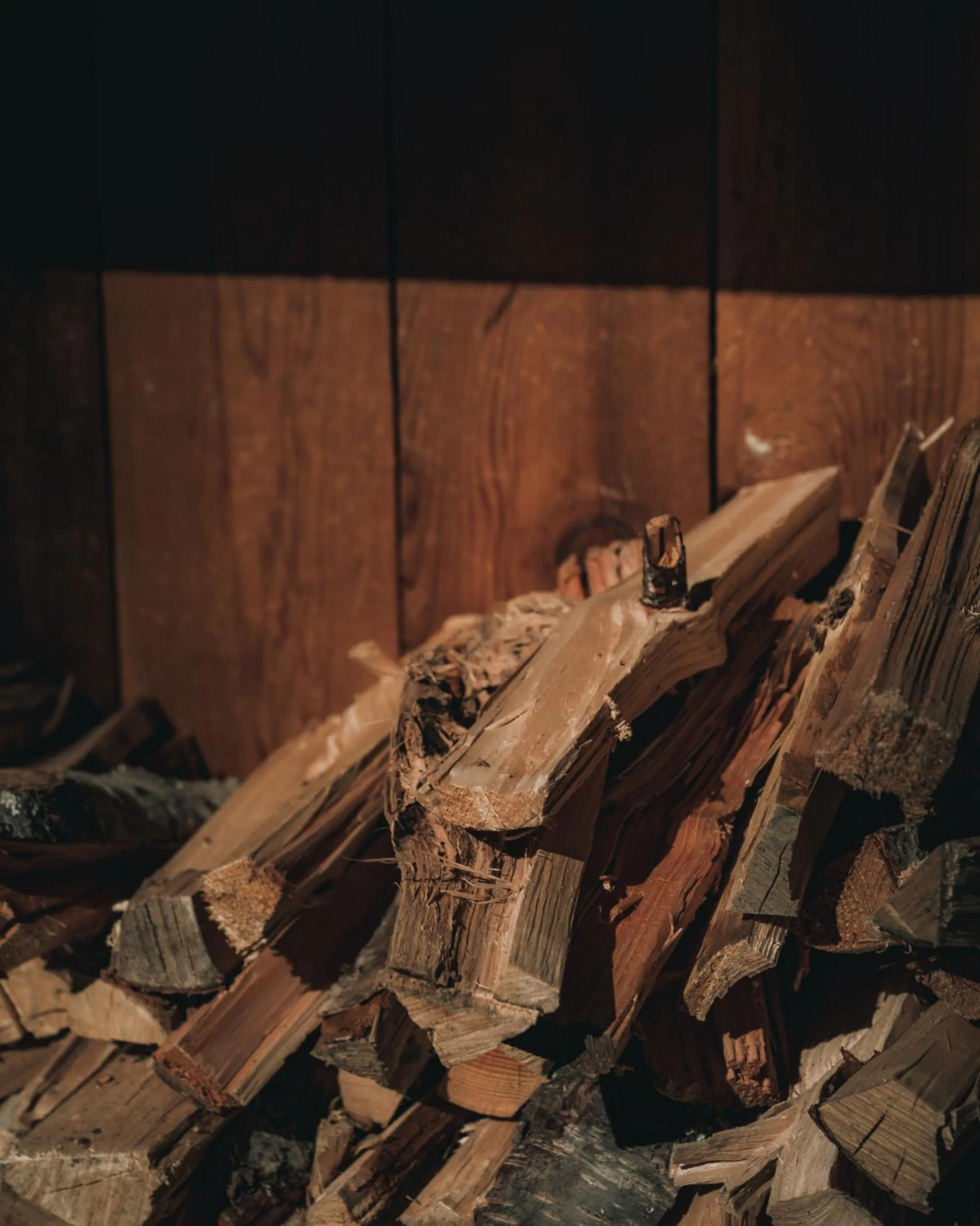 Activities in The Sentinel