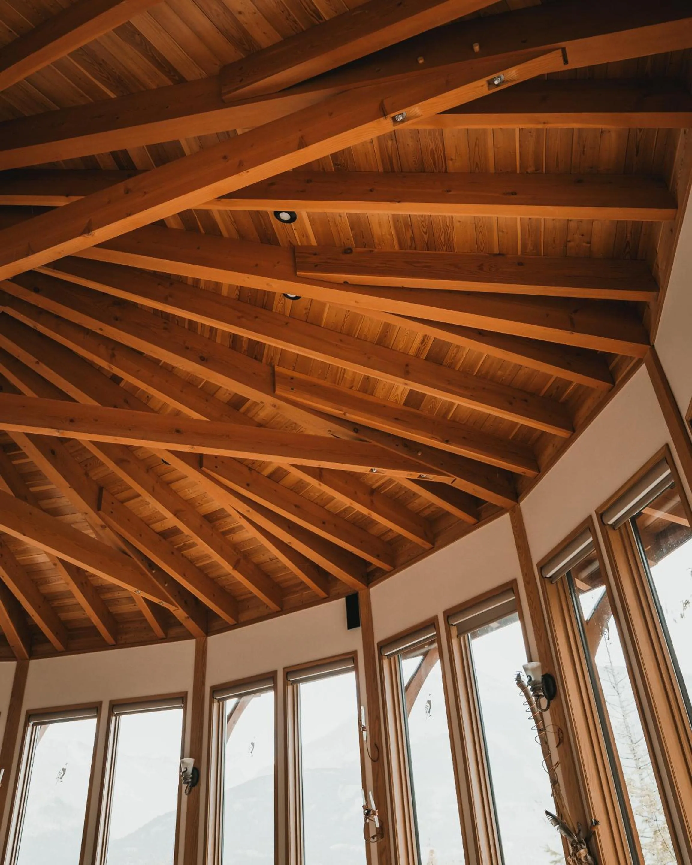 Other in The Sentinel