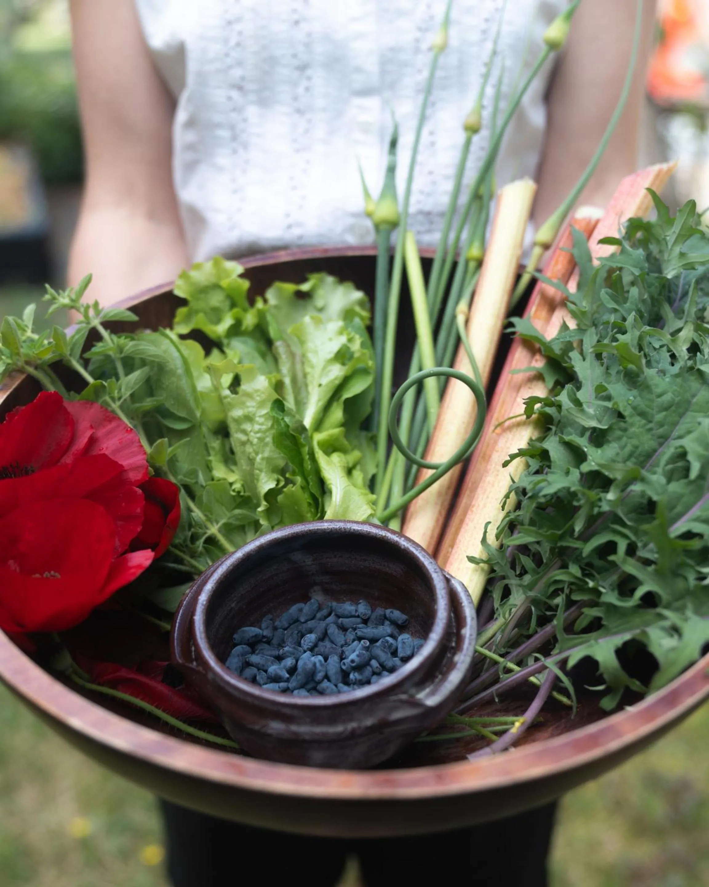 Garden in The Sentinel