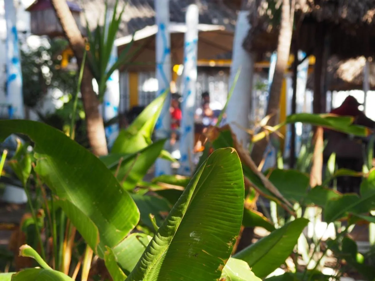 Day in Hotel Restaurante Spa La Barca de Oro