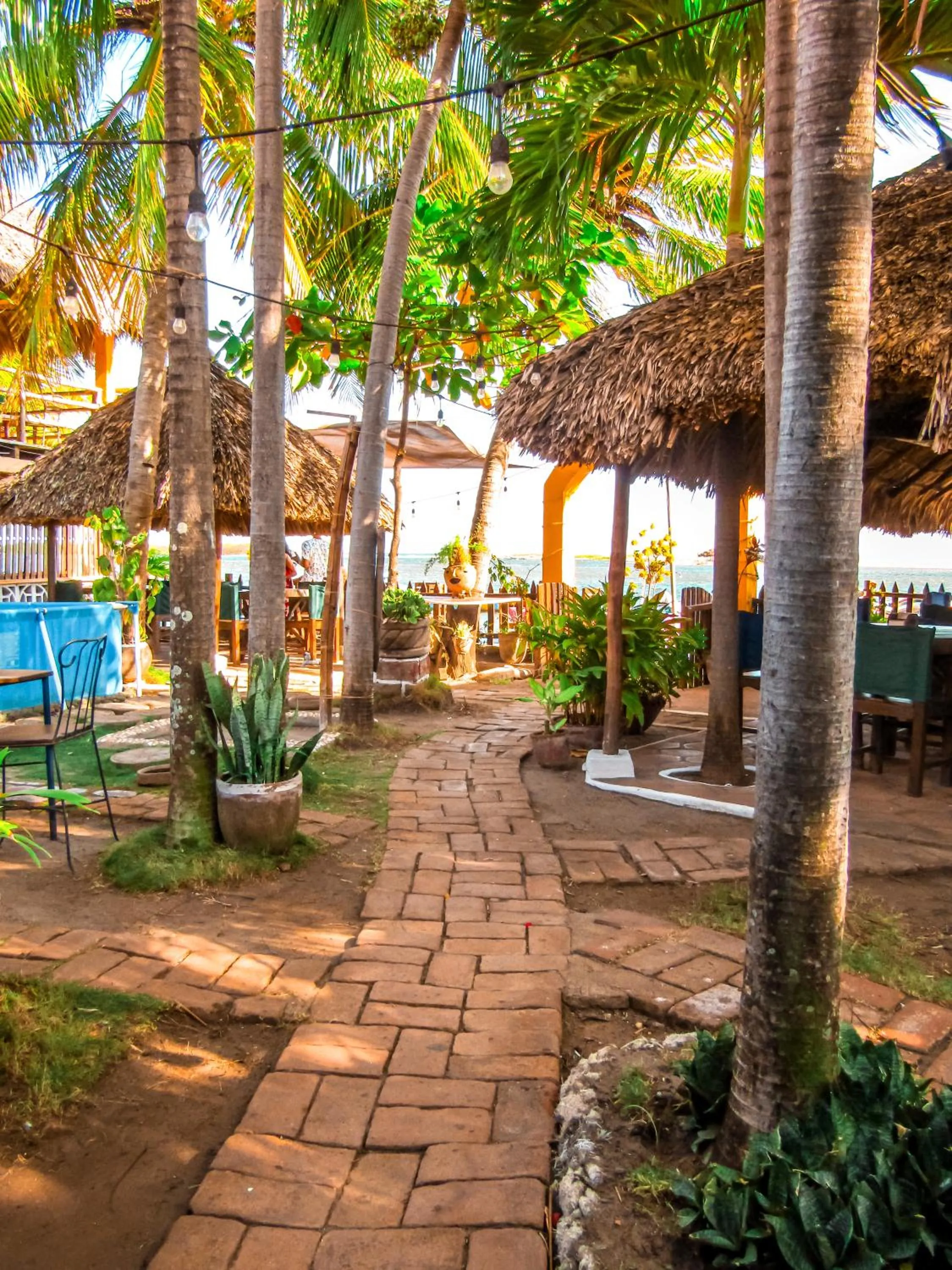 Spring in Hotel Restaurante Spa La Barca de Oro