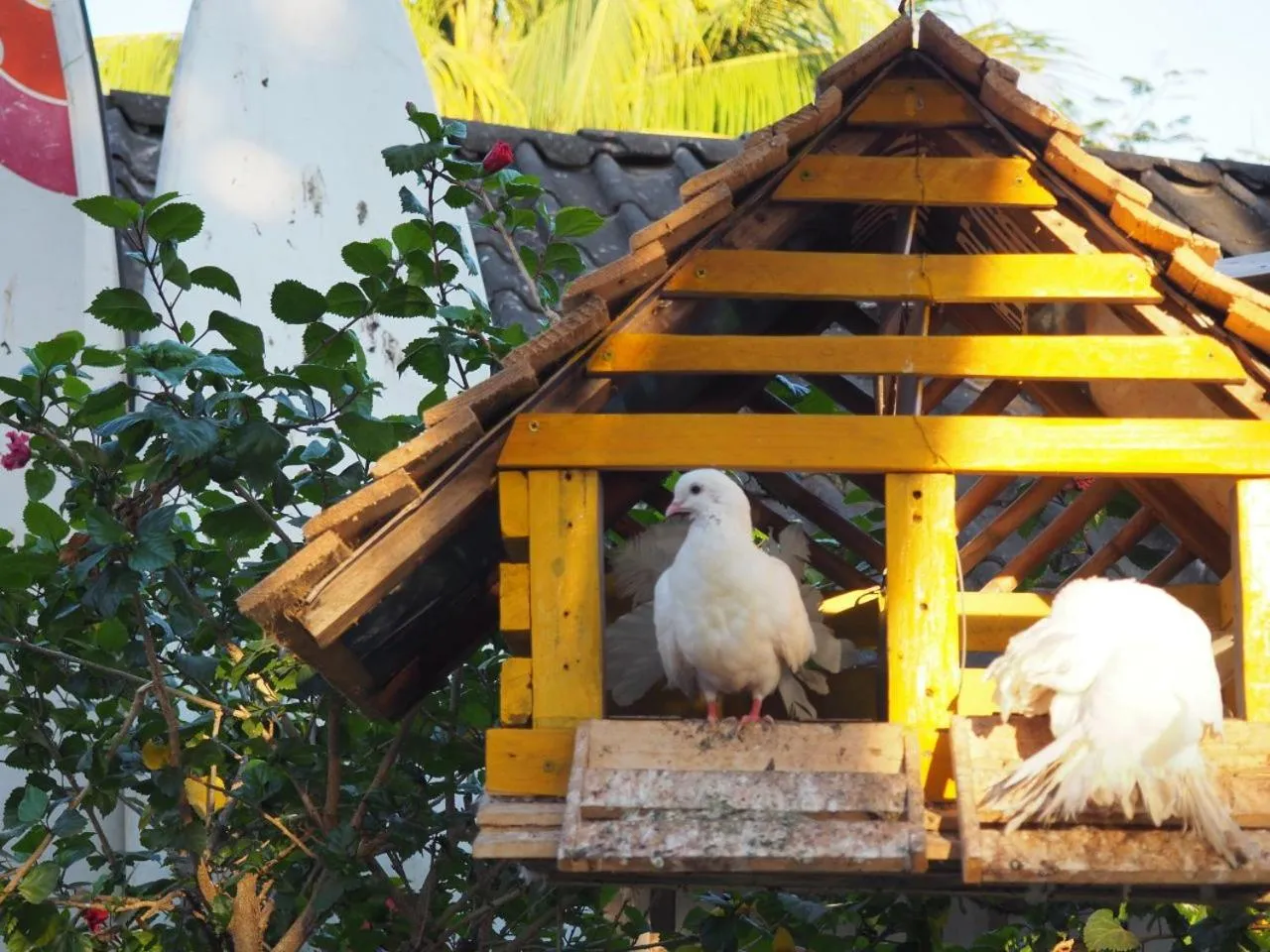 Day in Hotel Restaurante Spa La Barca de Oro