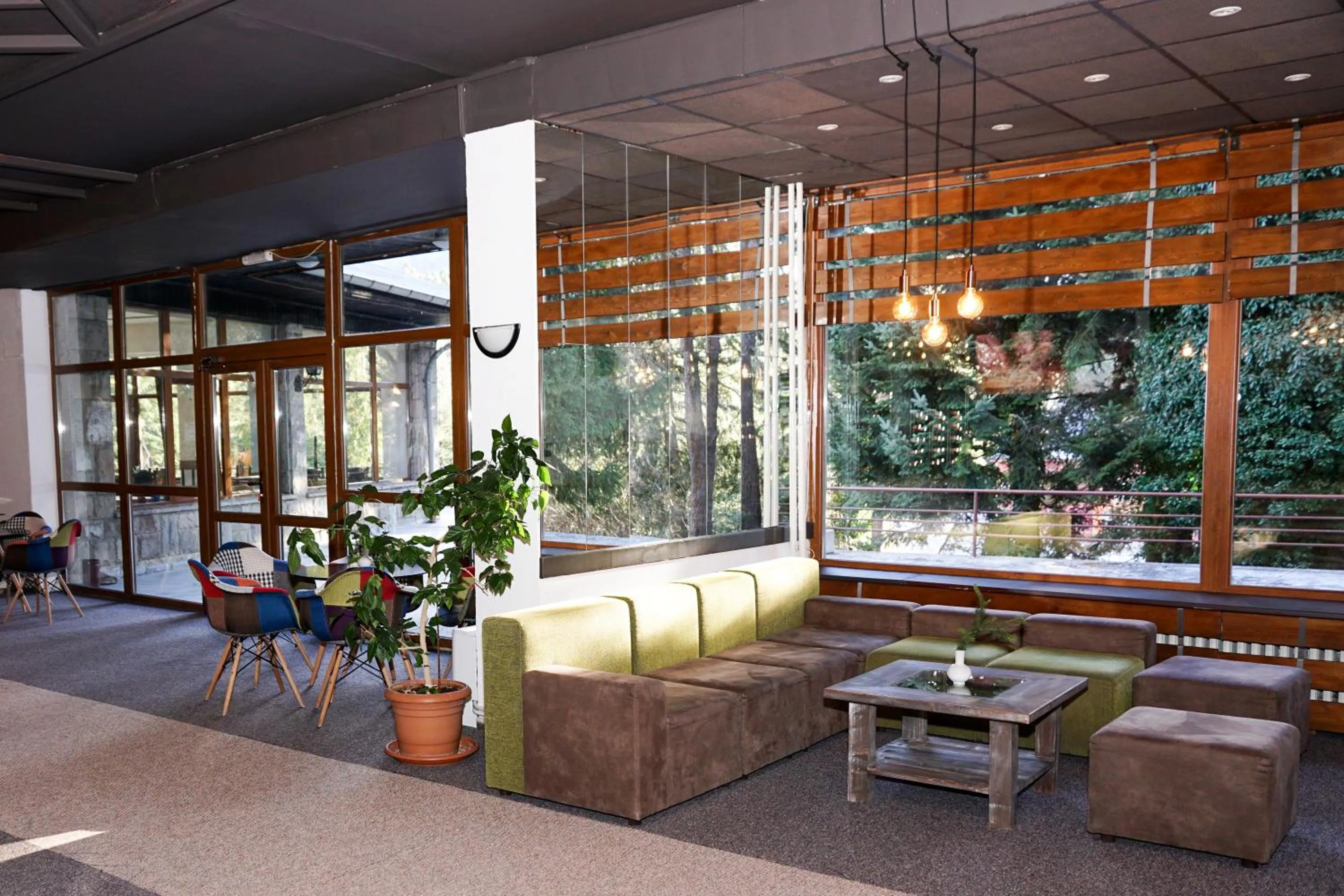 Lounge or bar in Hotel Bor