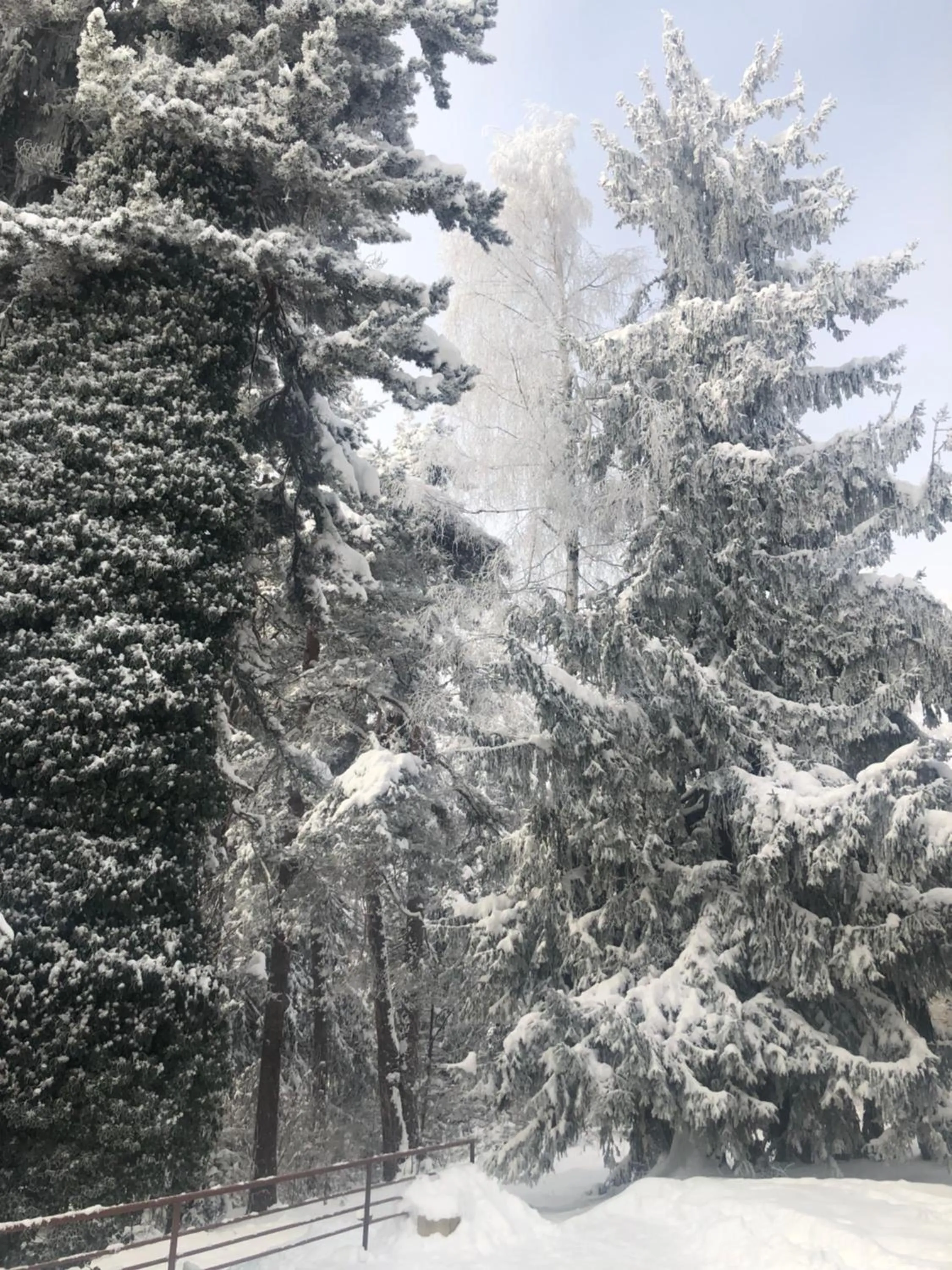 Natural landscape in Hotel Bor