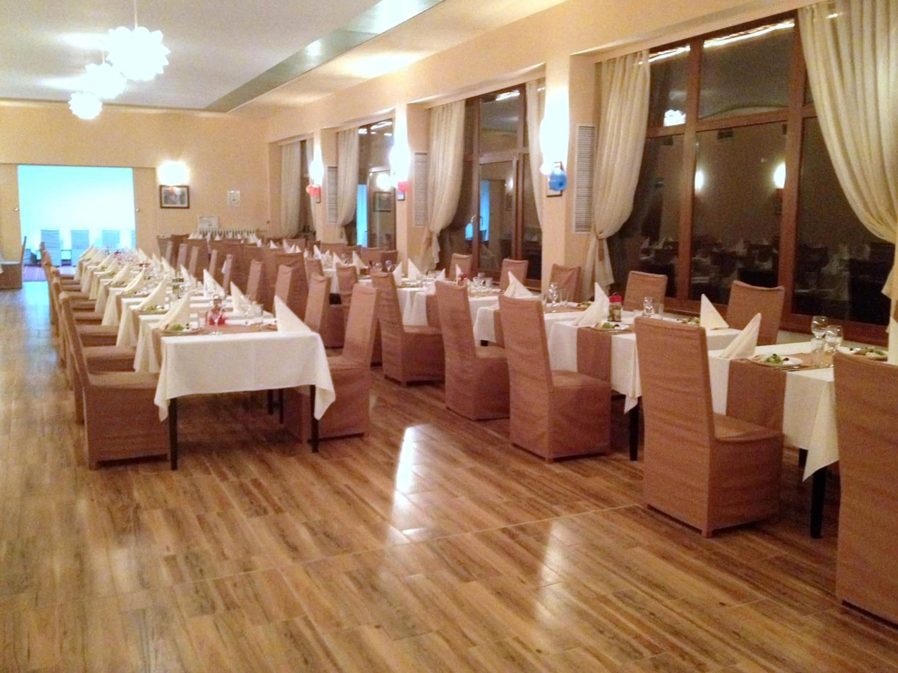 Restaurant/places to eat in Hotel Bor