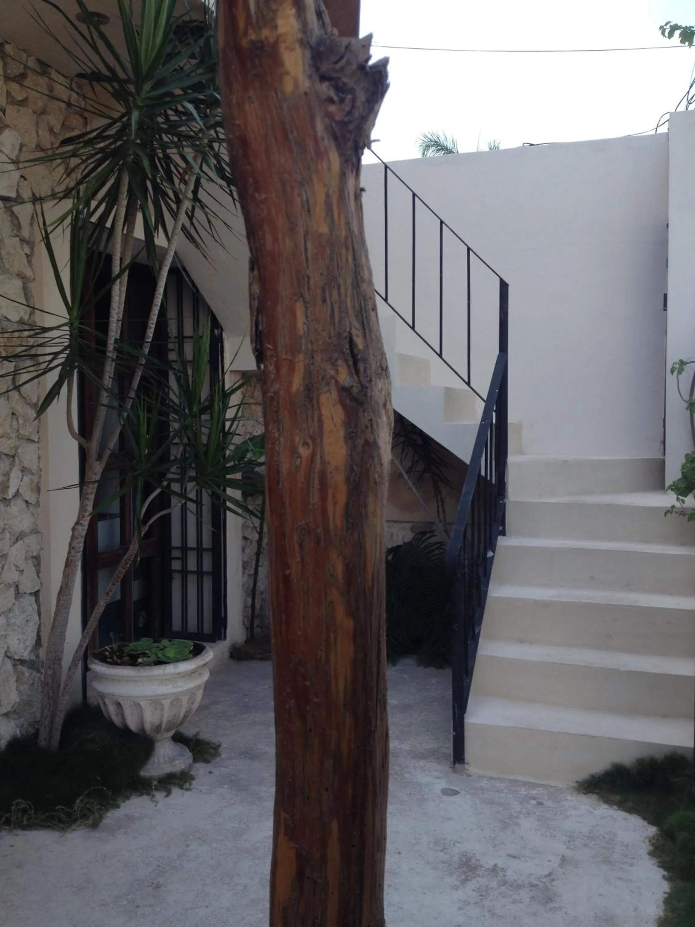 City Center Studyo "Casa Natural"