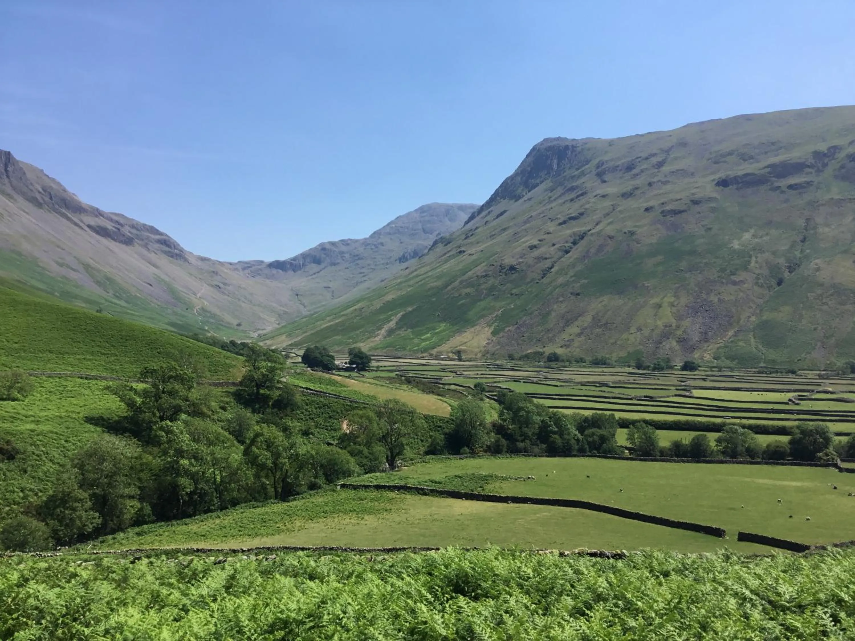 Spring in Lutwidge Arms