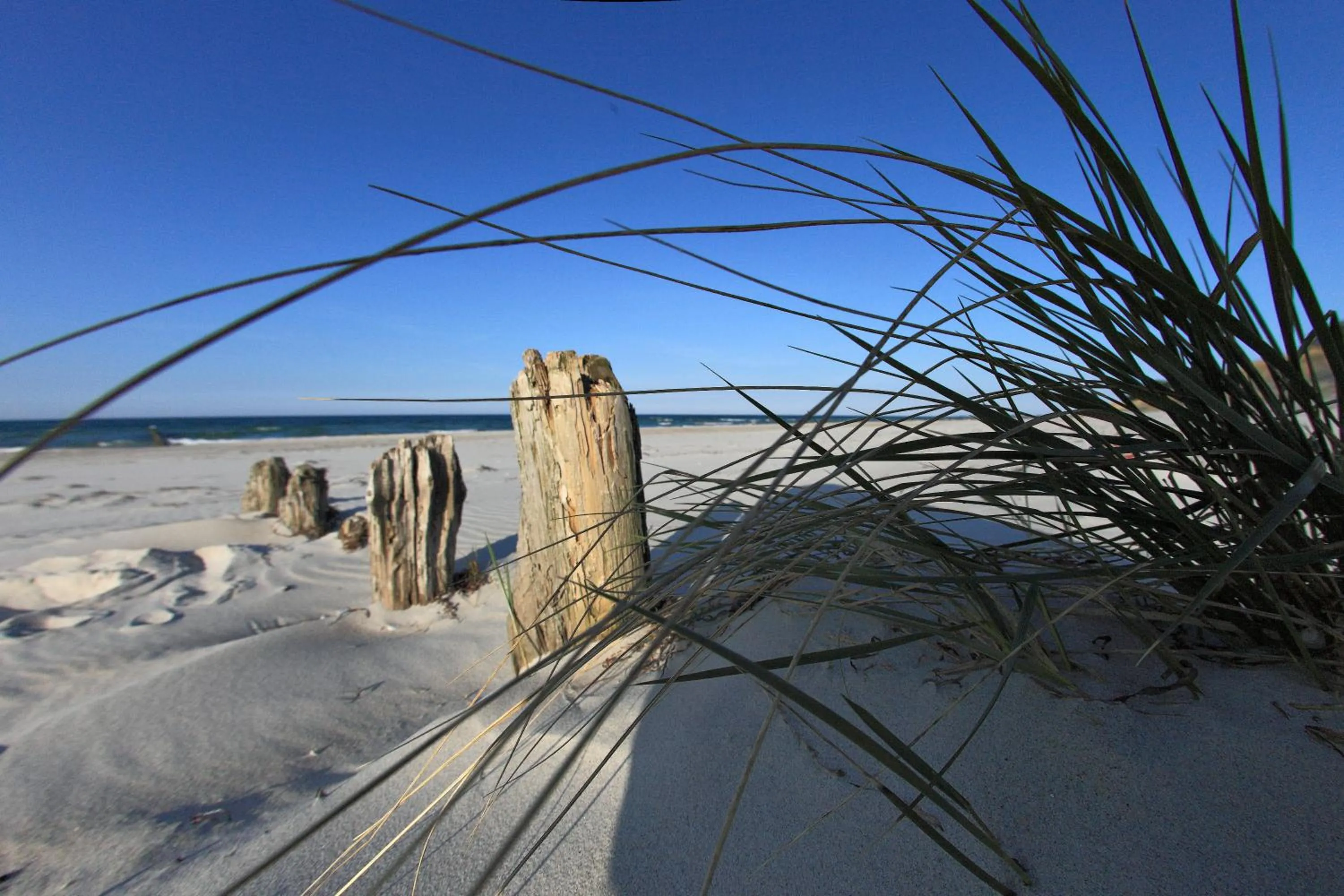 Beach in THE GRAND Ahrenshoop