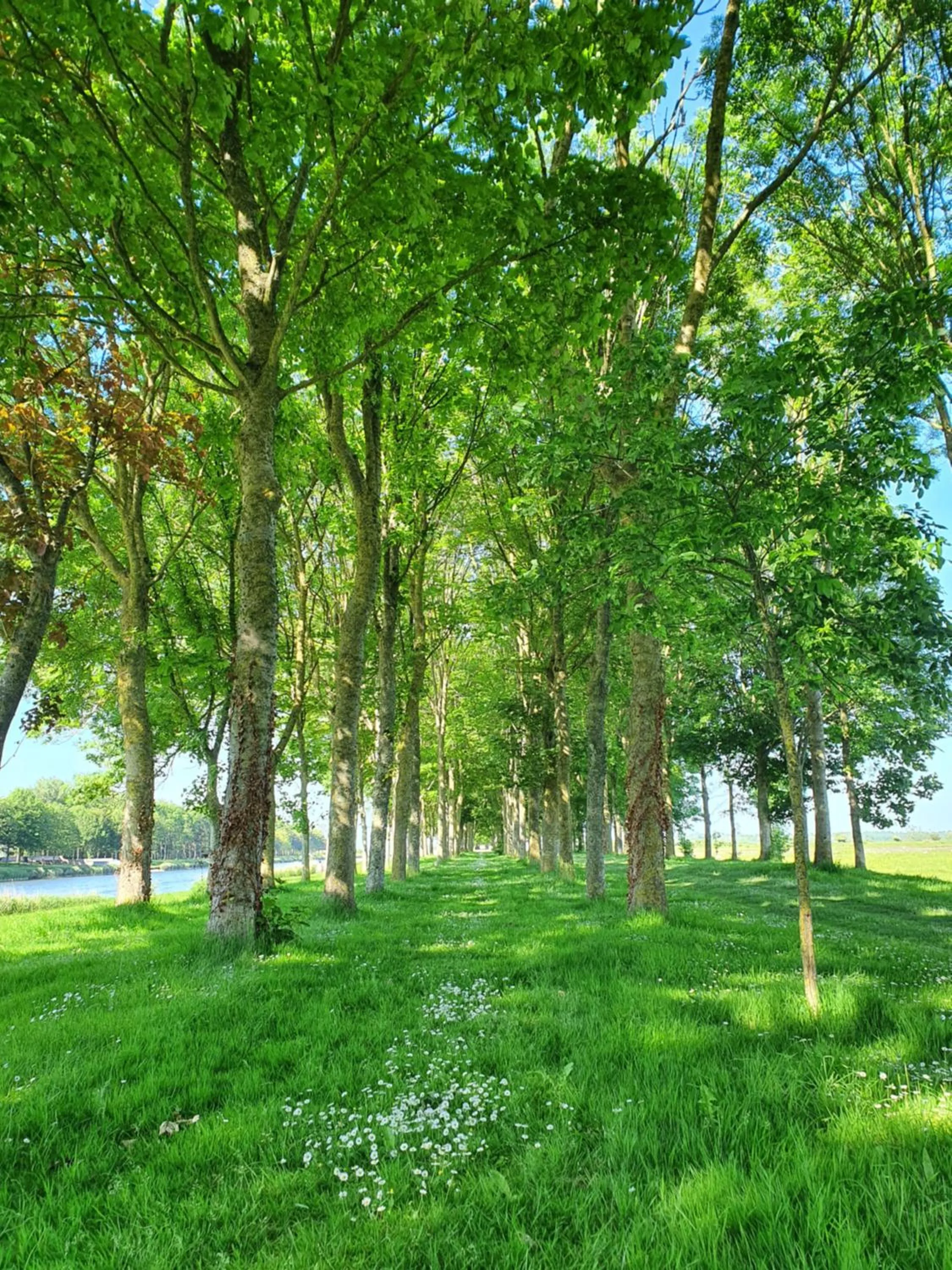 Nearby landmark in Hôtel Le Vauban
