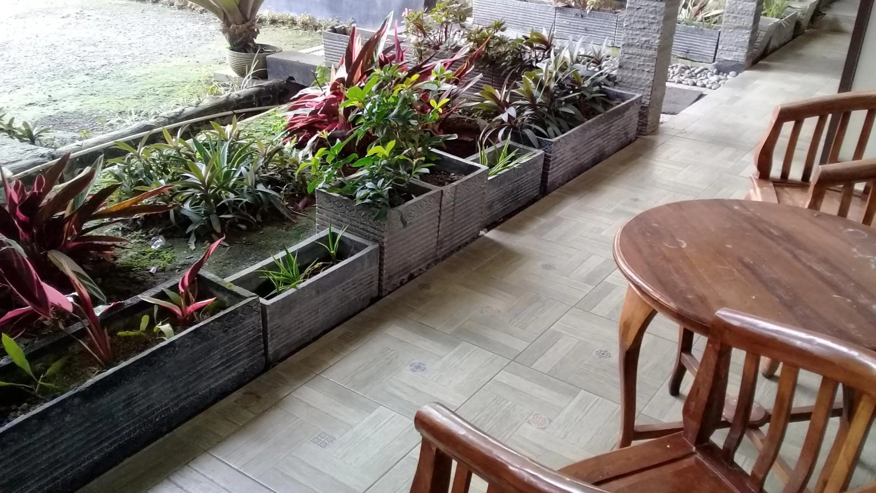 Garden view in RF Hotel