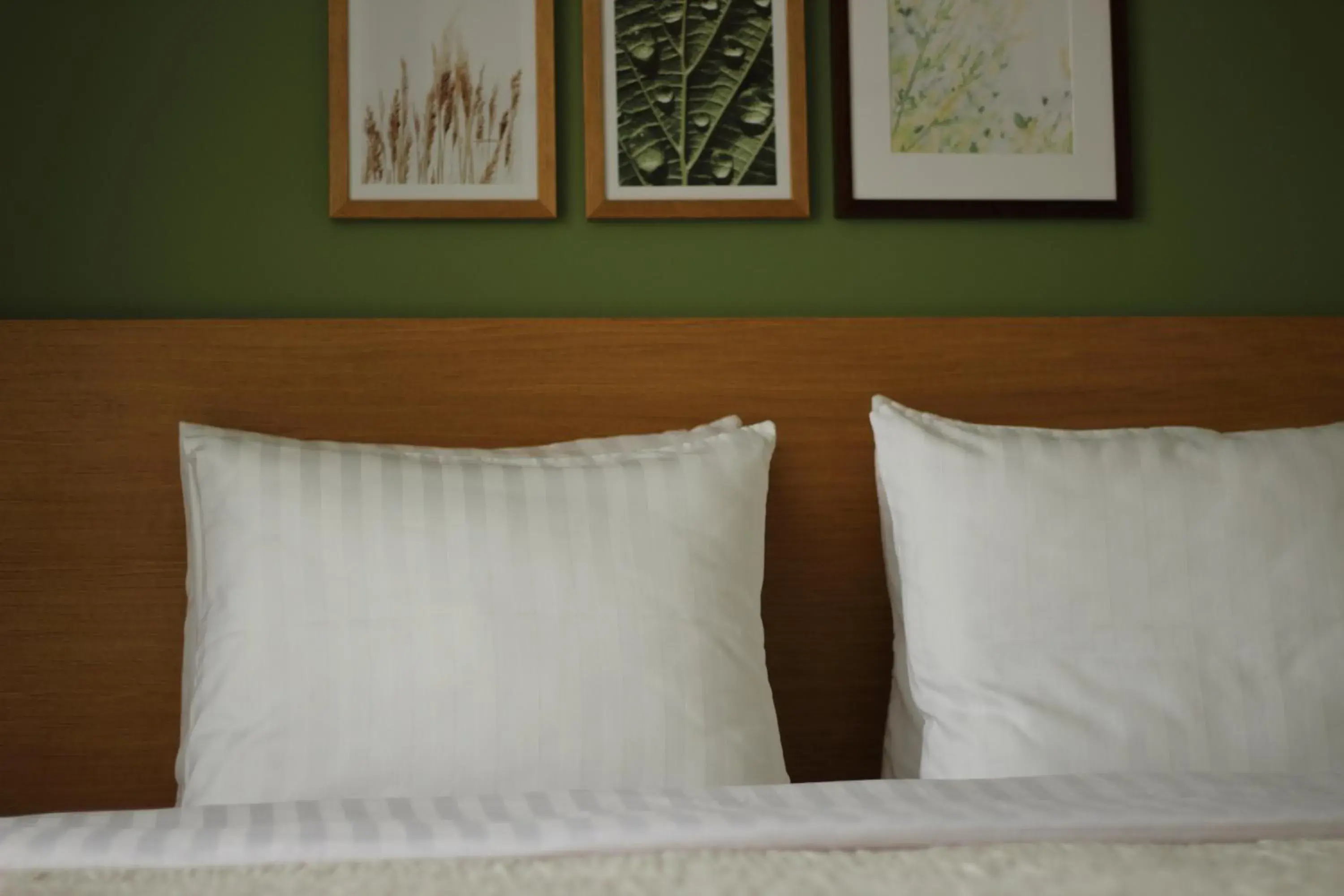 Business Double Room in Hotel Kolumbs Business Double Room in Hotel Kolumbs