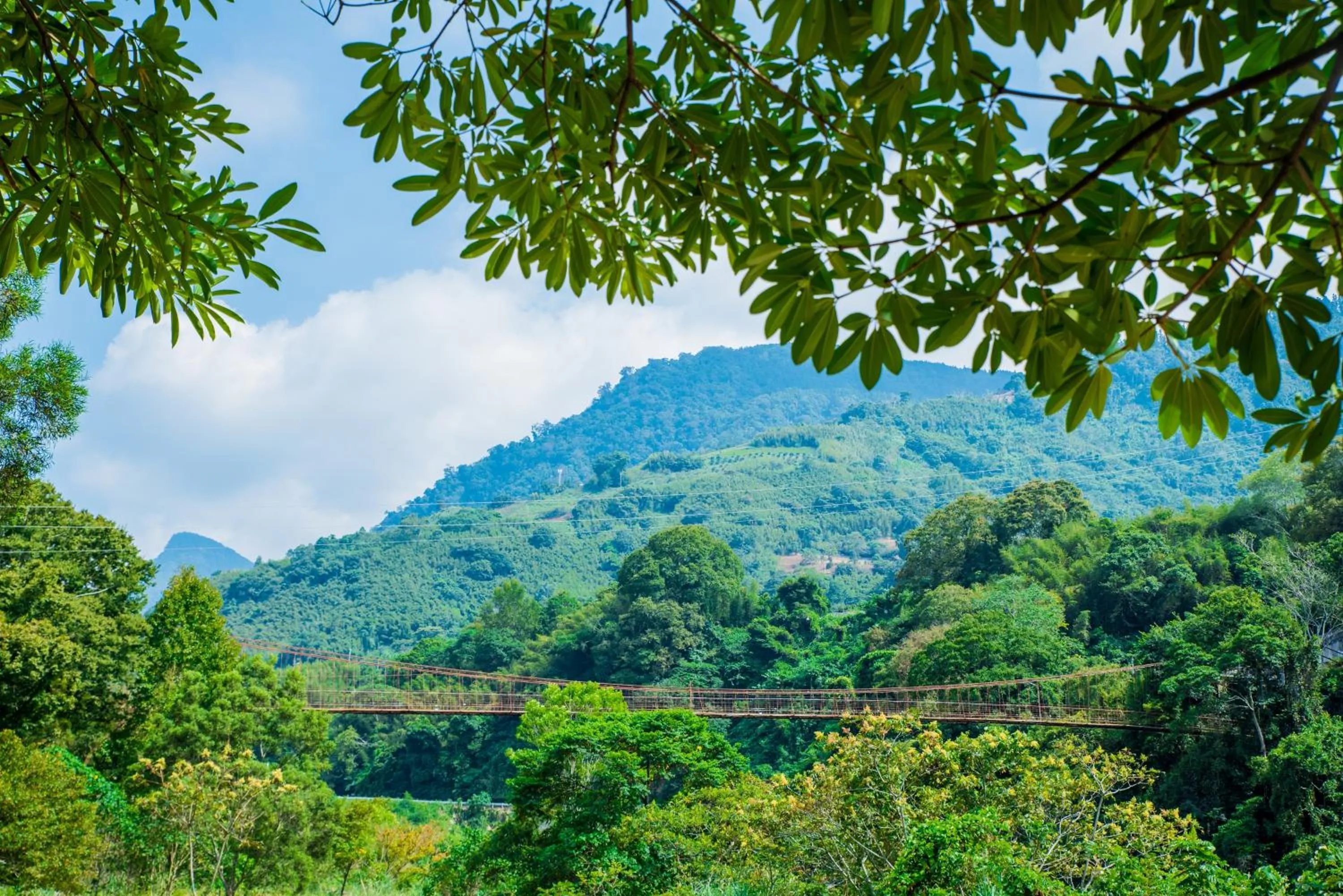 Natural landscape in Hu Shan Hot Spring Hotel