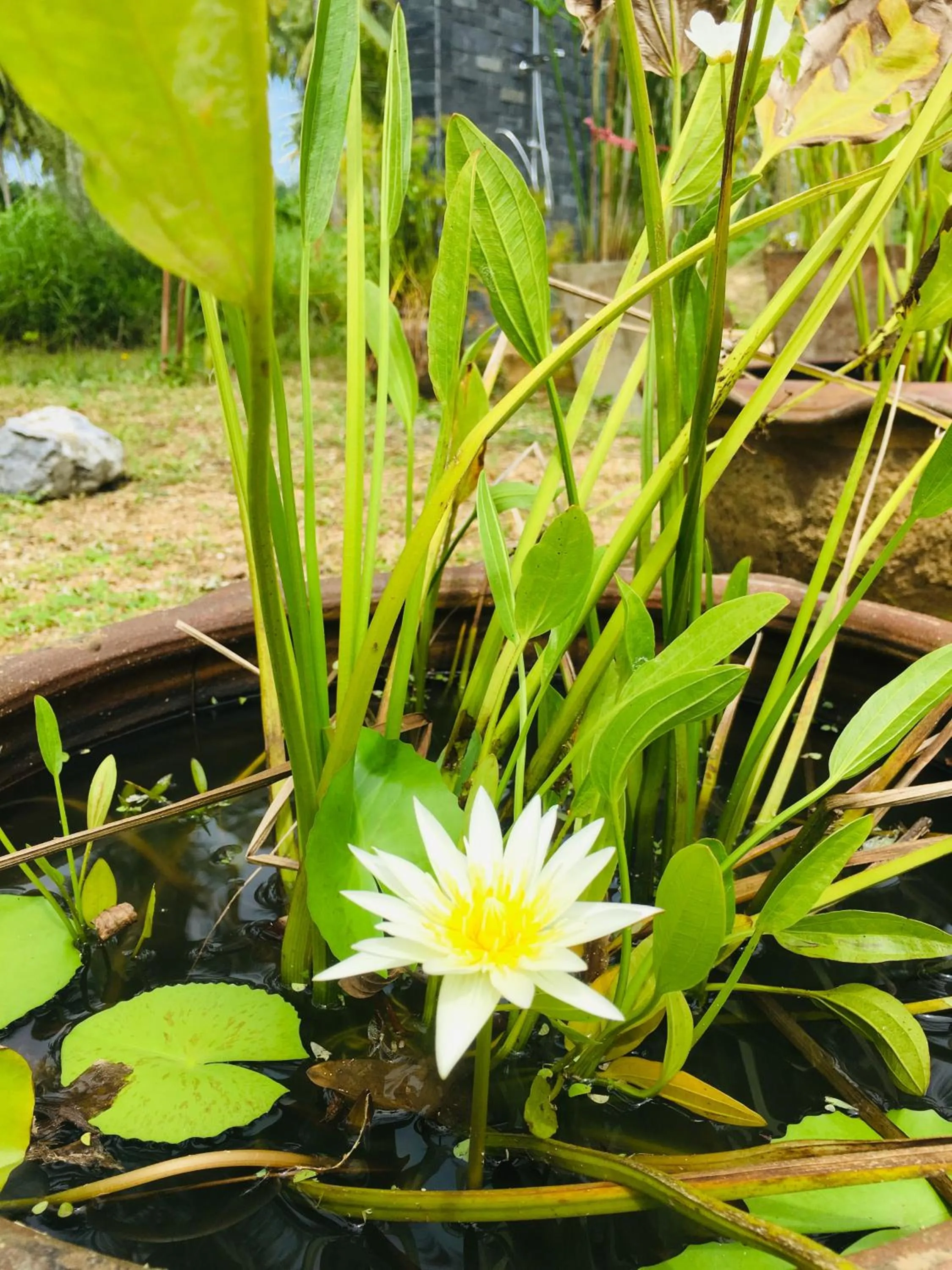 Khao Lak Golden Coconut Resort