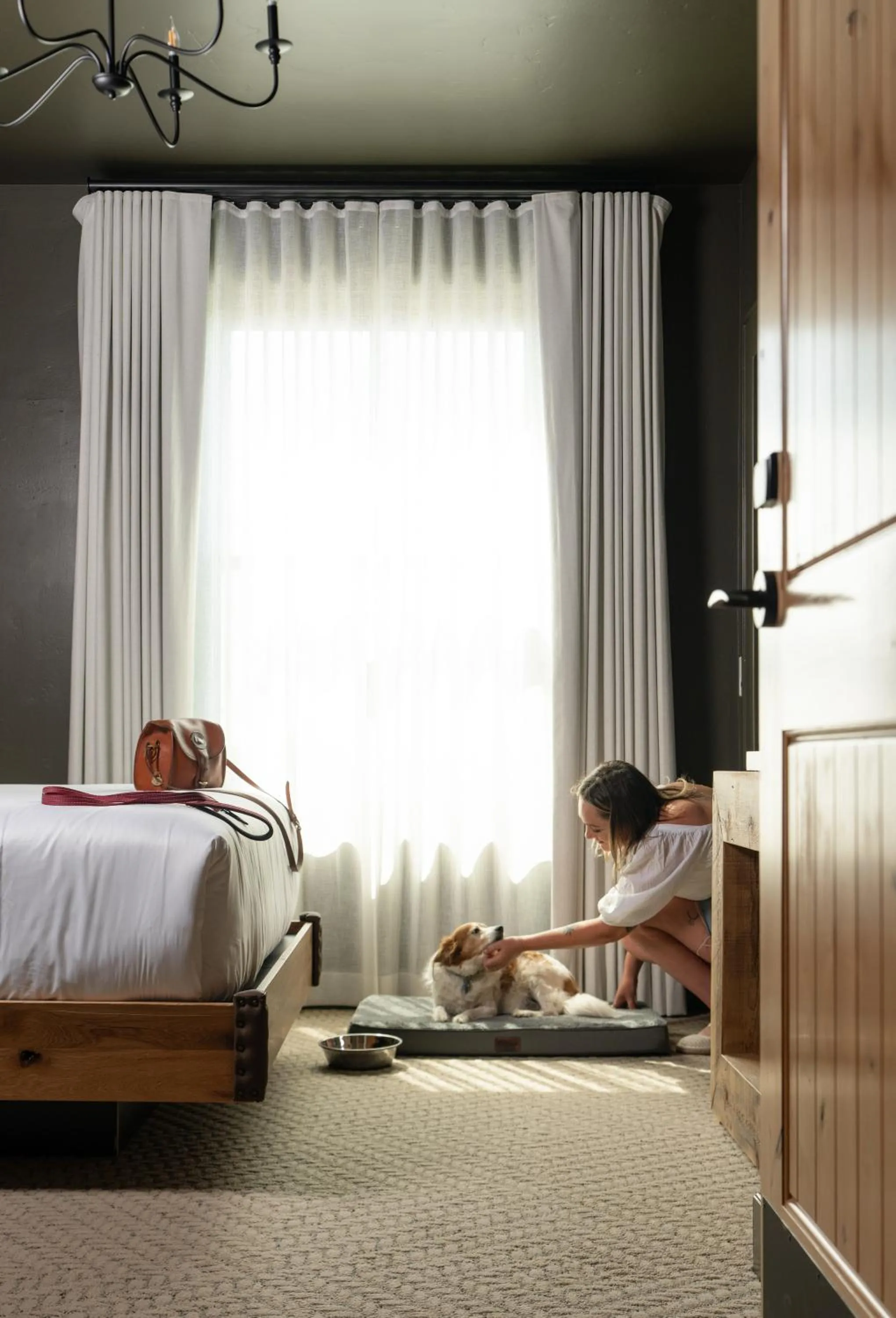 Pets, Bed in Hotel Santa Barbara