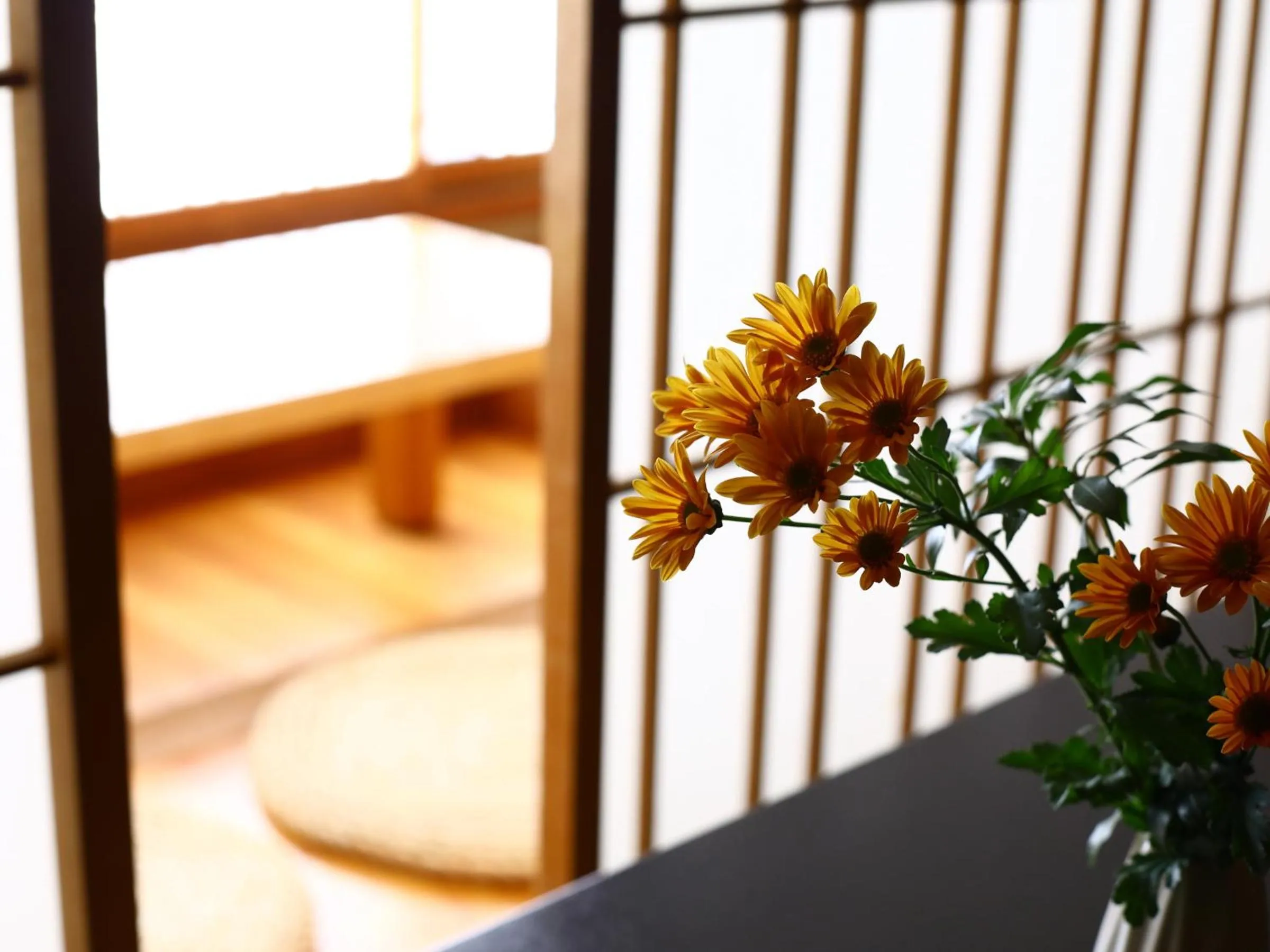 Living room, Bed in Club Wyndham Chikumakan Nagano