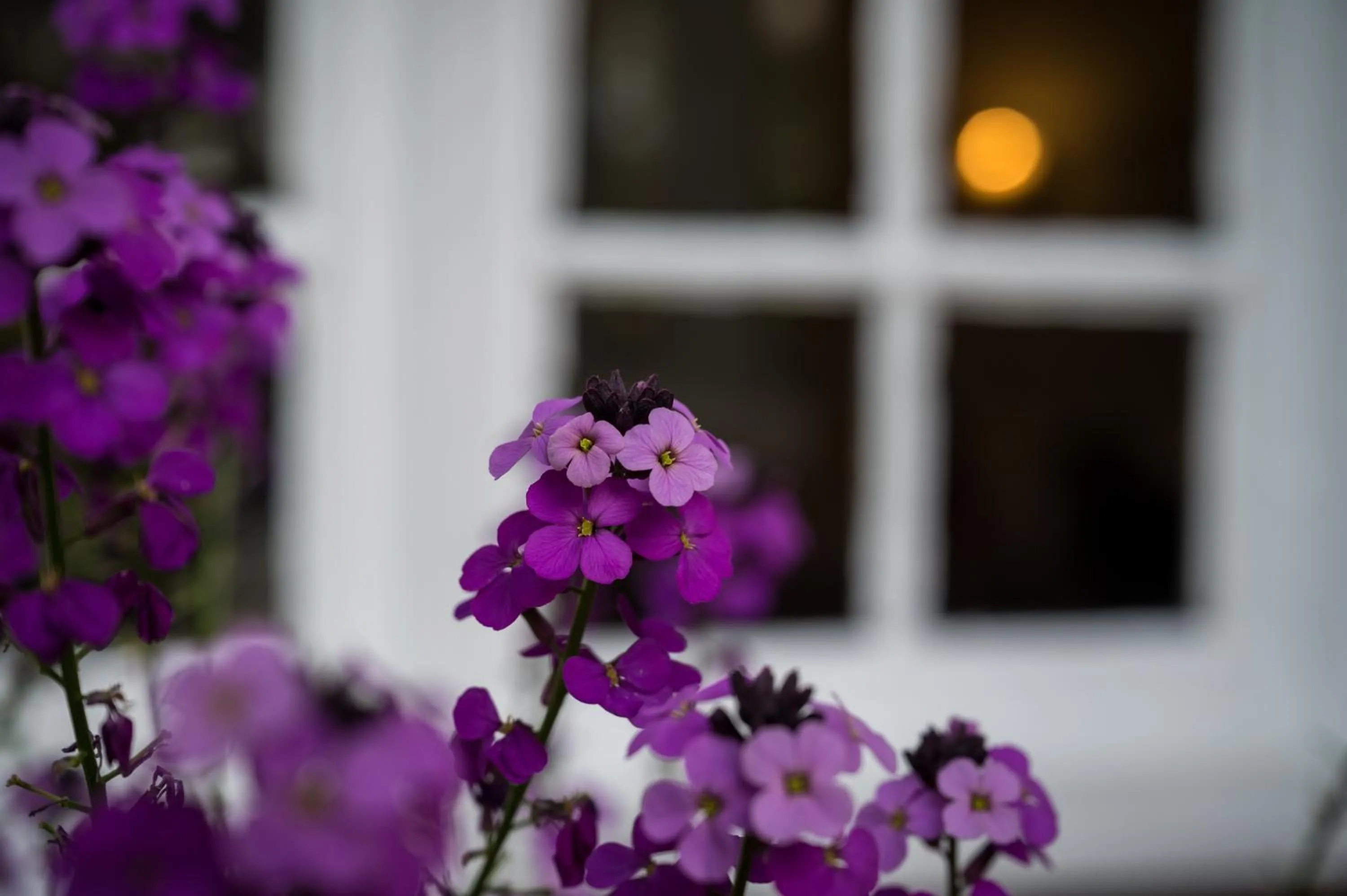 Property building in Findon Manor Hotel