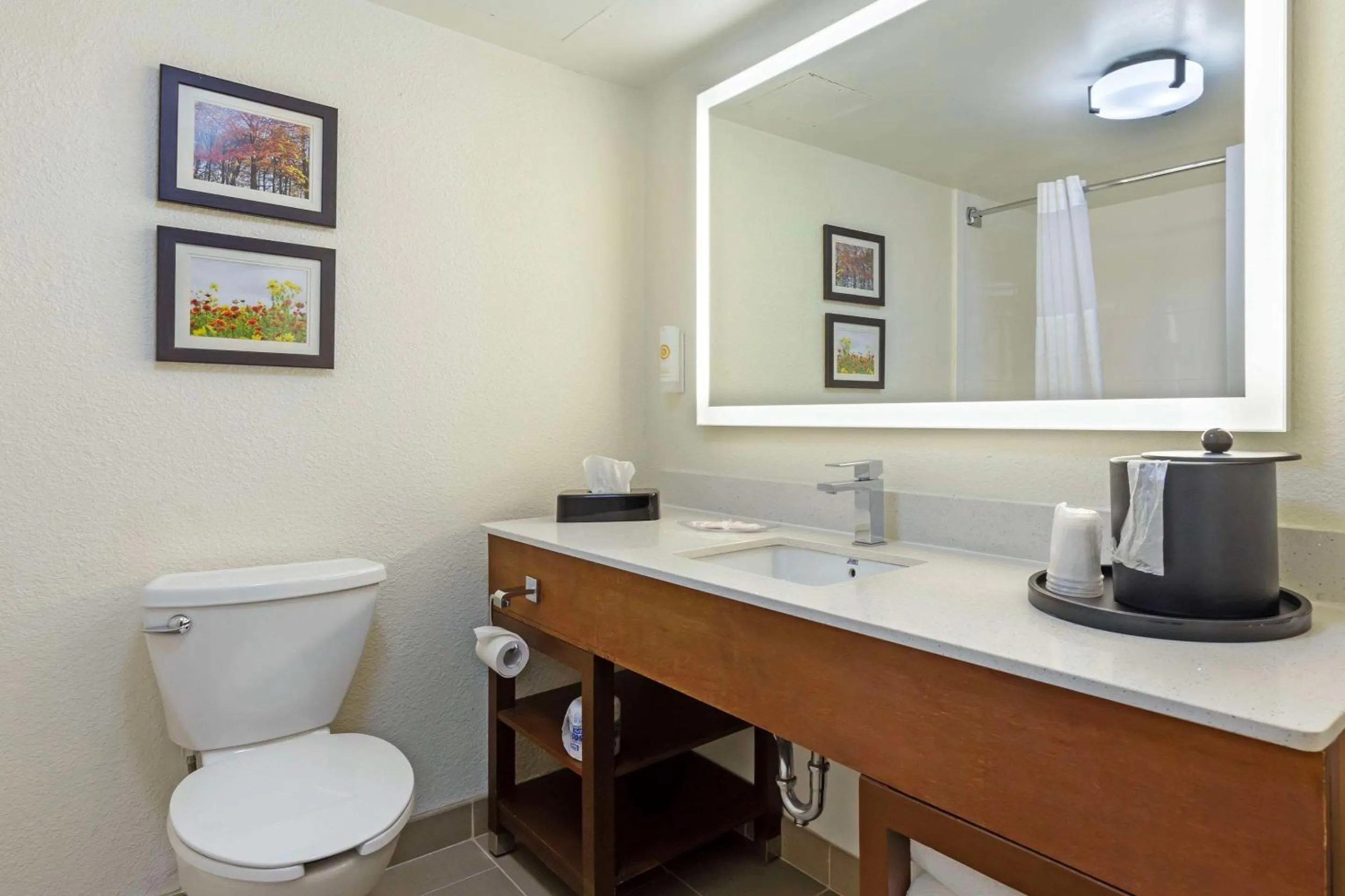 Bathroom in Comfort Suites Hanes Mall