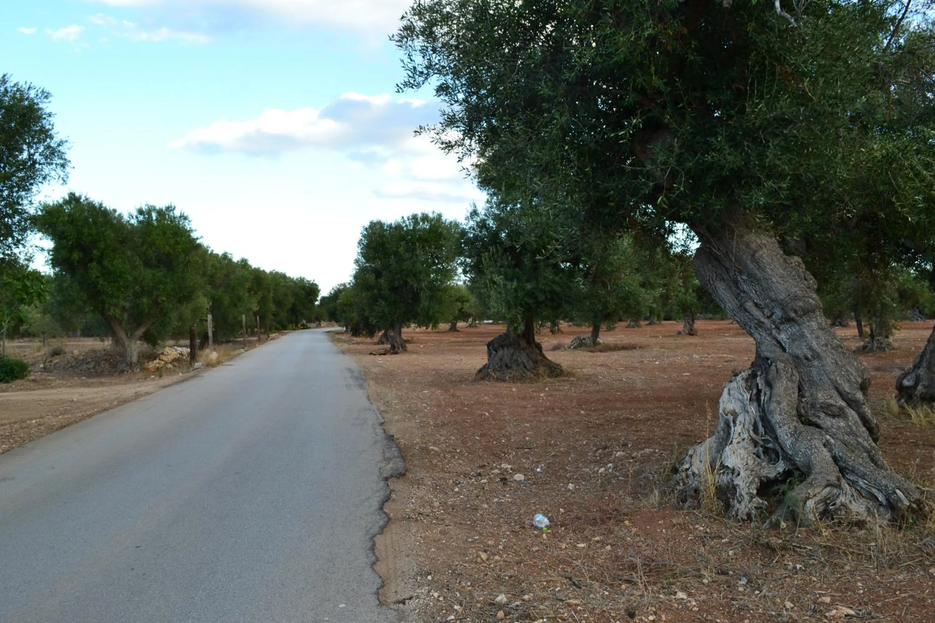 Nearby landmark in Le Terrazze B&B Manduria